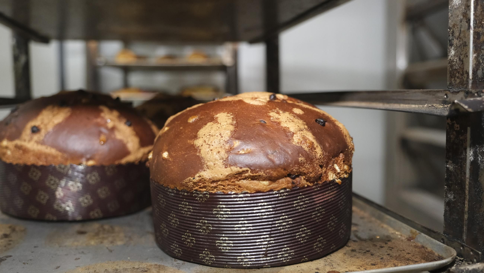 El 'mejor panetone', hecho en Alcolea, en imágenes