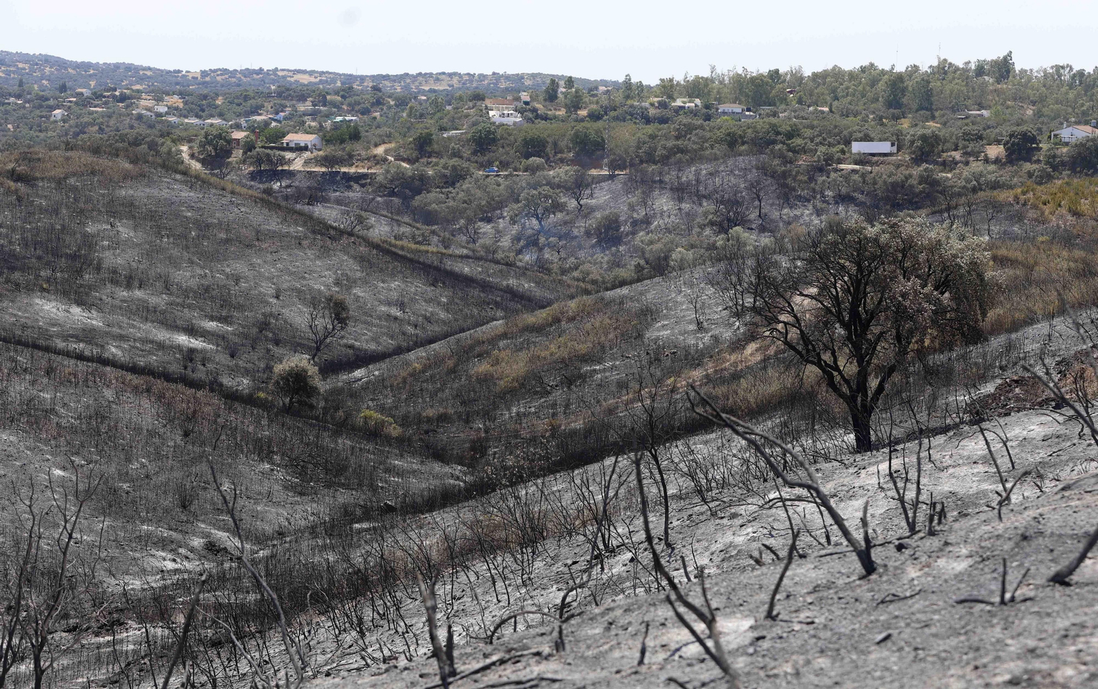 Los efectos del incendio en el Ronquillo en imágenes