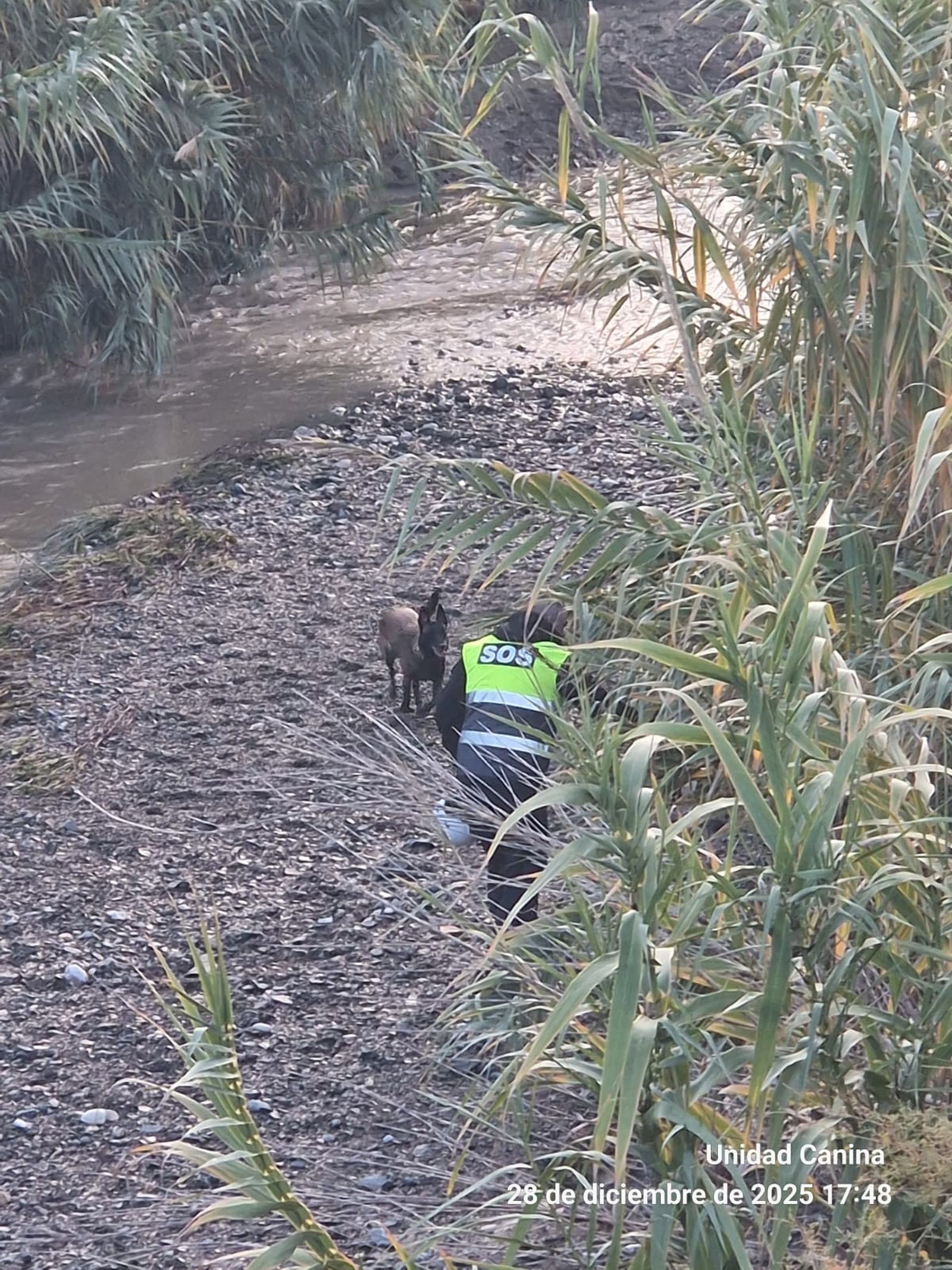 Un efectivo del dispositivo, durante el rastreo de las márgenes del río.