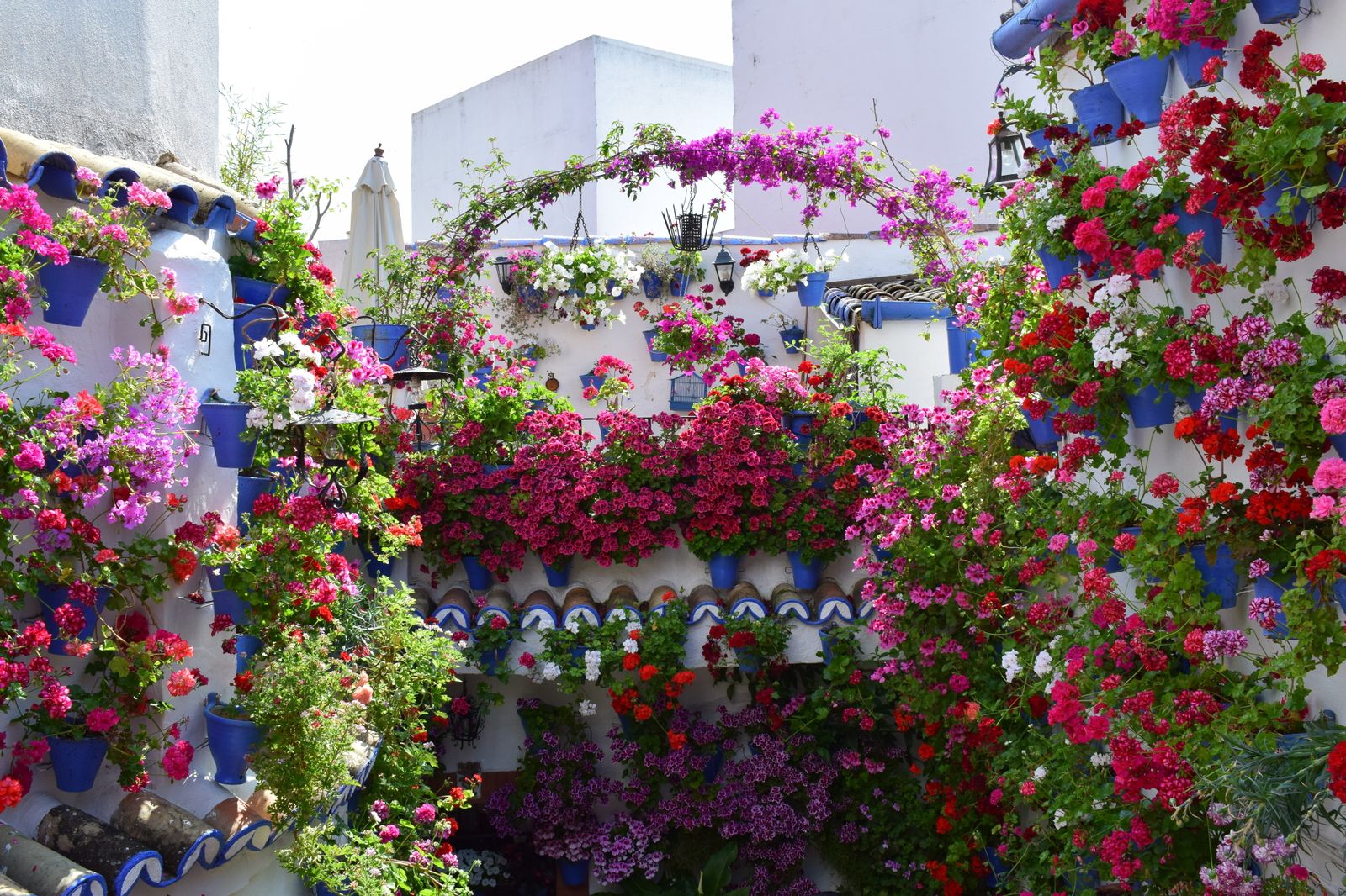 RUTA DEL ALCAZAR VIEJO: POSTRERA 28