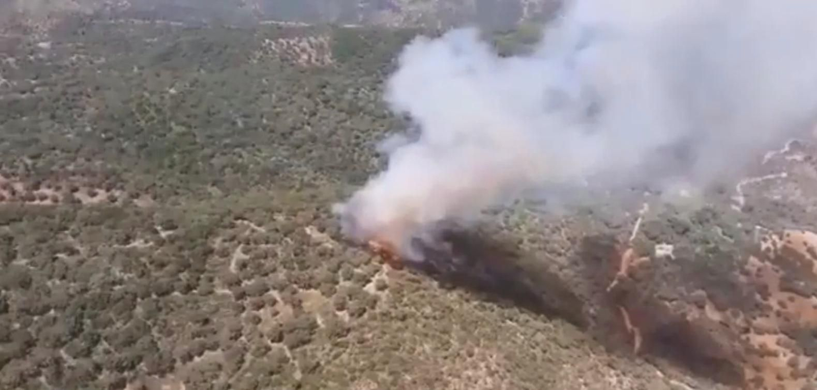 Lugar en el que se ha originado el incendio.