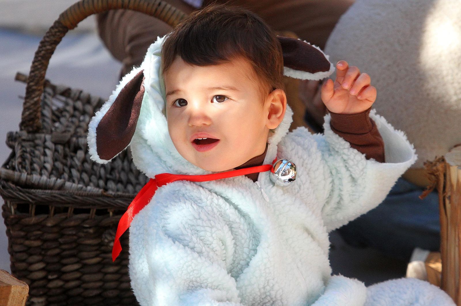 Imágenes del Belén viviente del Colegio María Inmaculada.