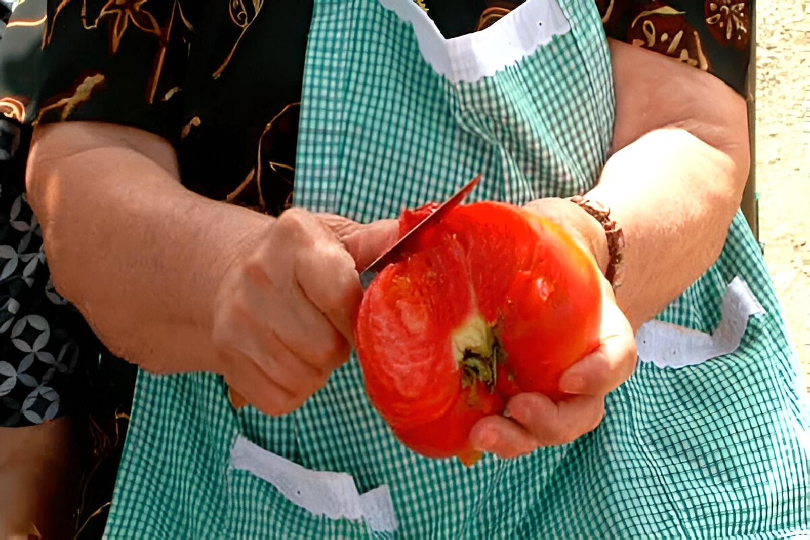 Descubre una tradición única donde la huerta se convierte en fiesta y el tomate es el protagonista