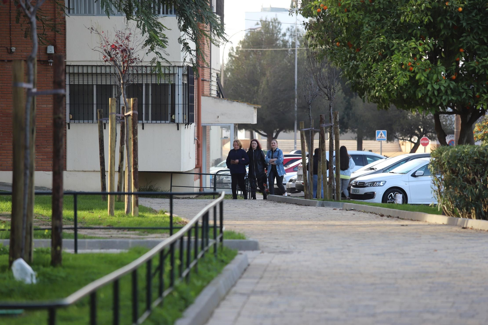 Imágenes de remodelación del área peatonal de Santa Marta
