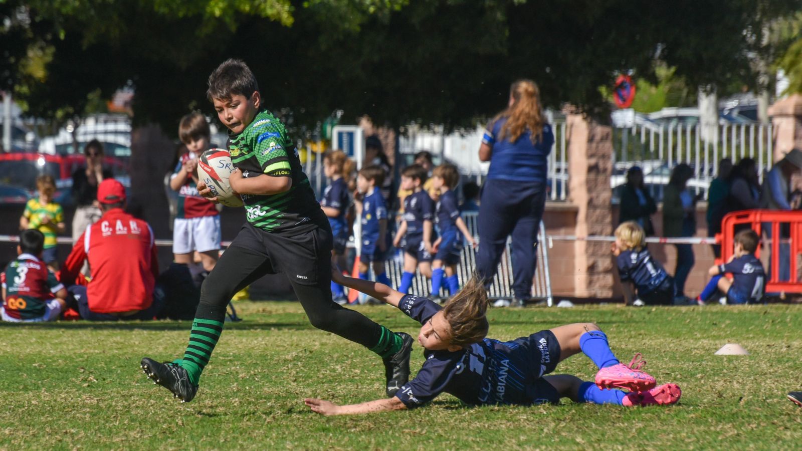Las fotos del Festival Andaluz de rugby gradual en Pueblo Nuevo de Guadiaro