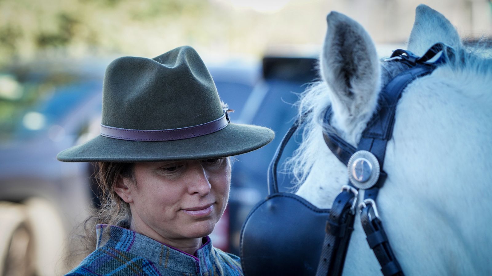 I Ruta de Carruajes Viñas de Jerez