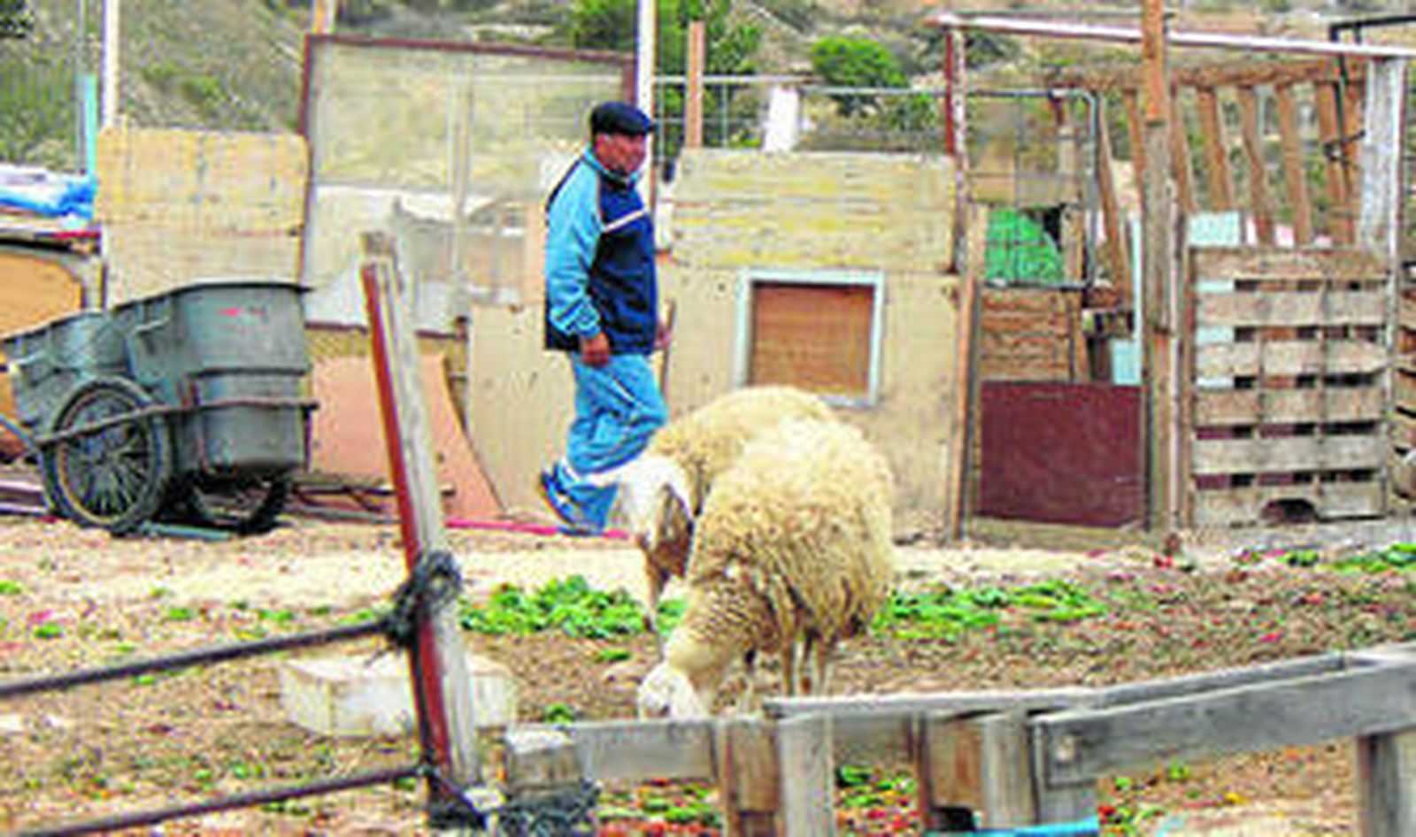 Algunos corrales bordean el barrio de Los Almendros.