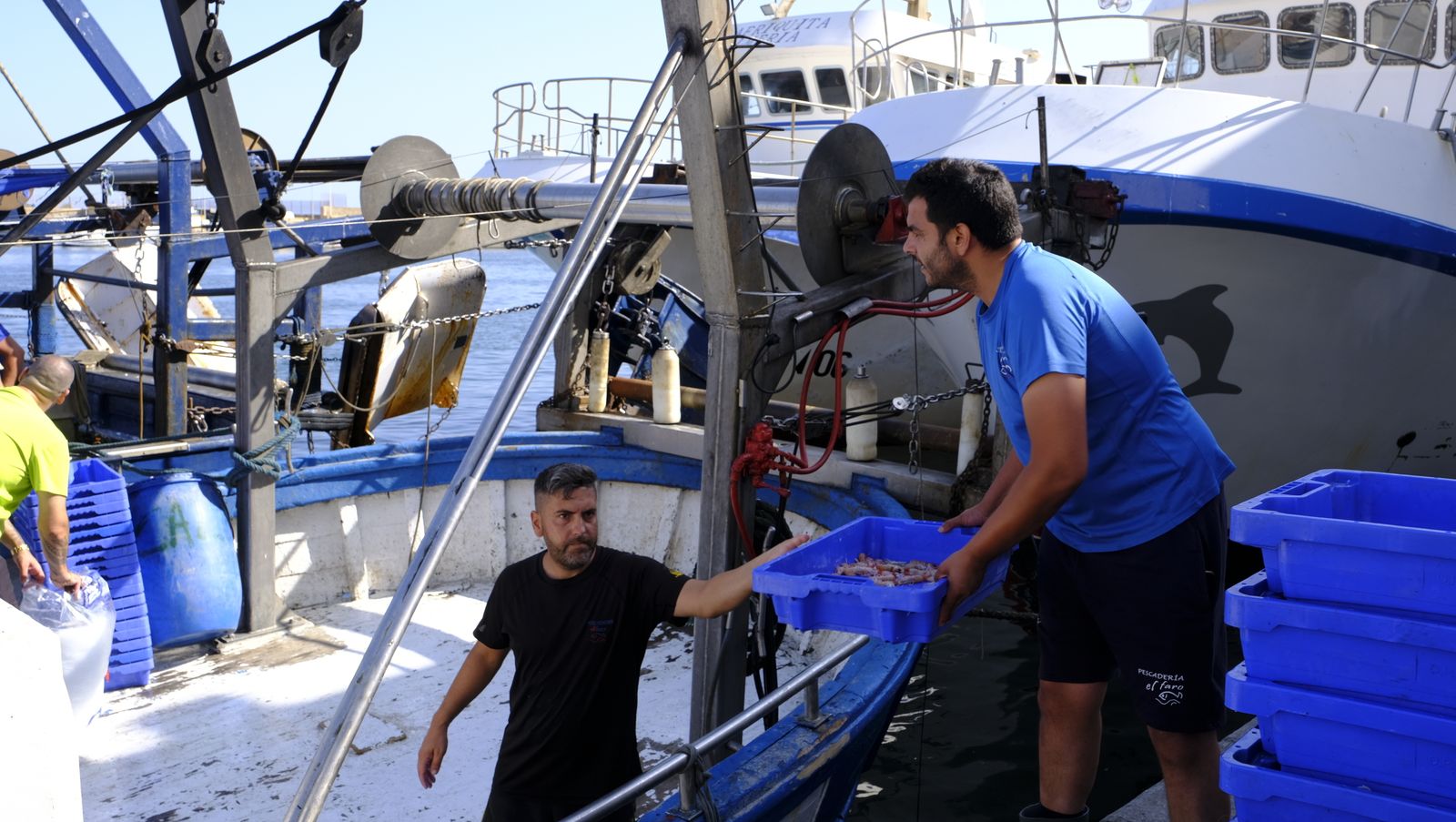 Imágenes de la visita guiada a la Lonja del Puerto Pesquero de Almería