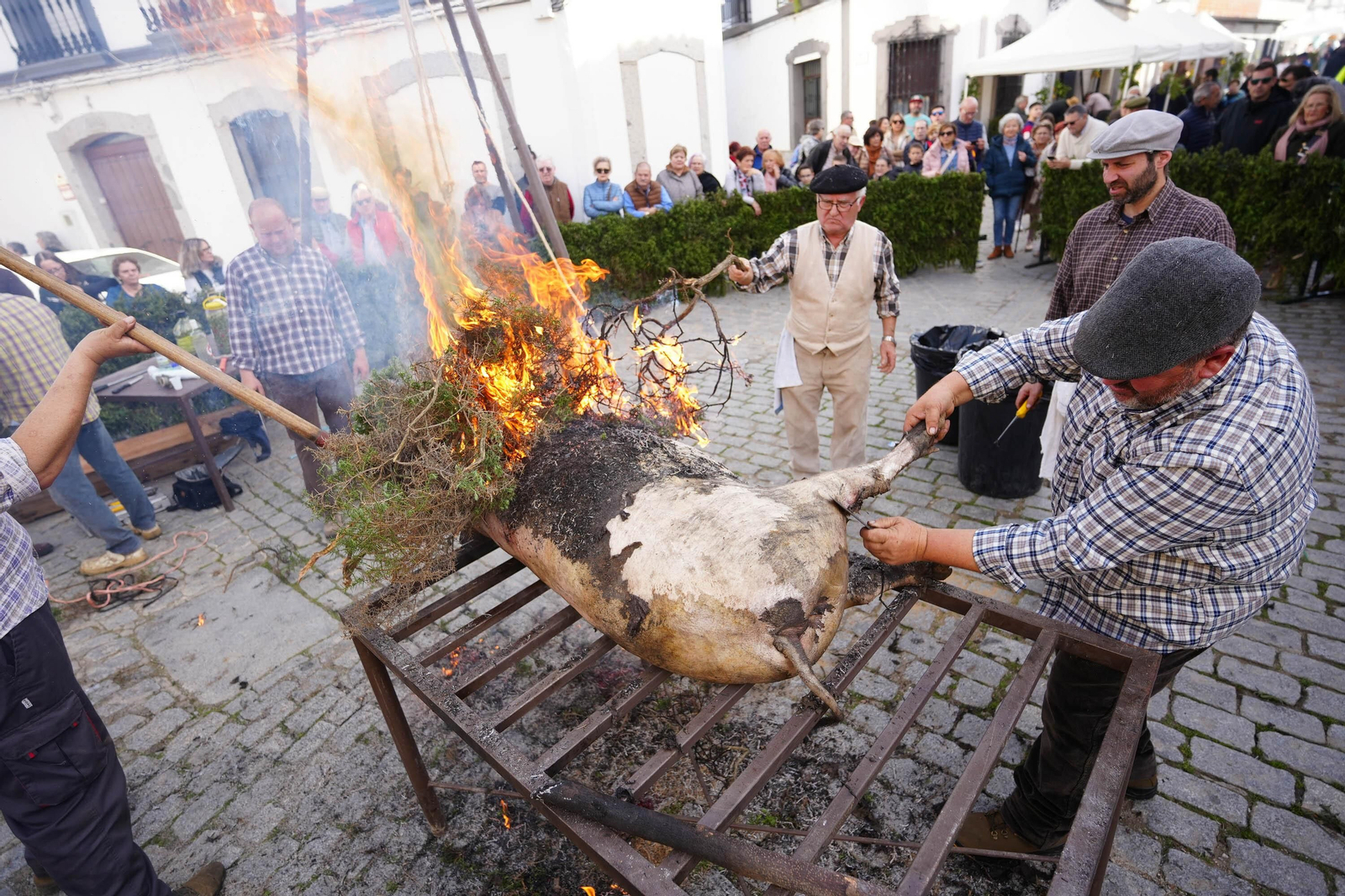 Alcaracejos celebra su Fiesta de la Matanza, en imágenes