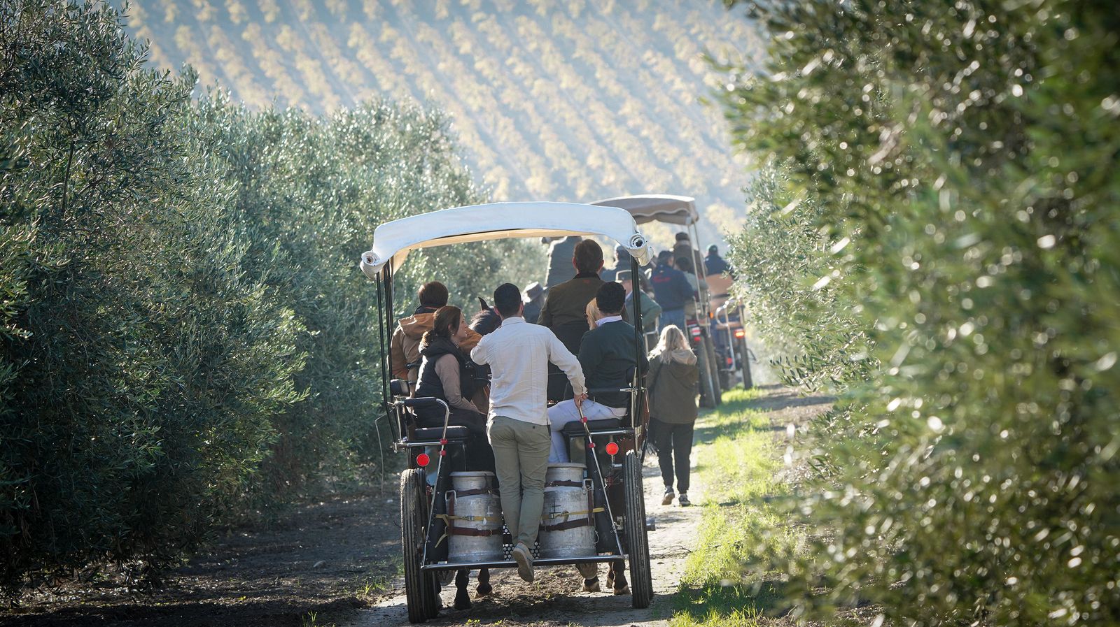 I Ruta de Carruajes Viñas de Jerez