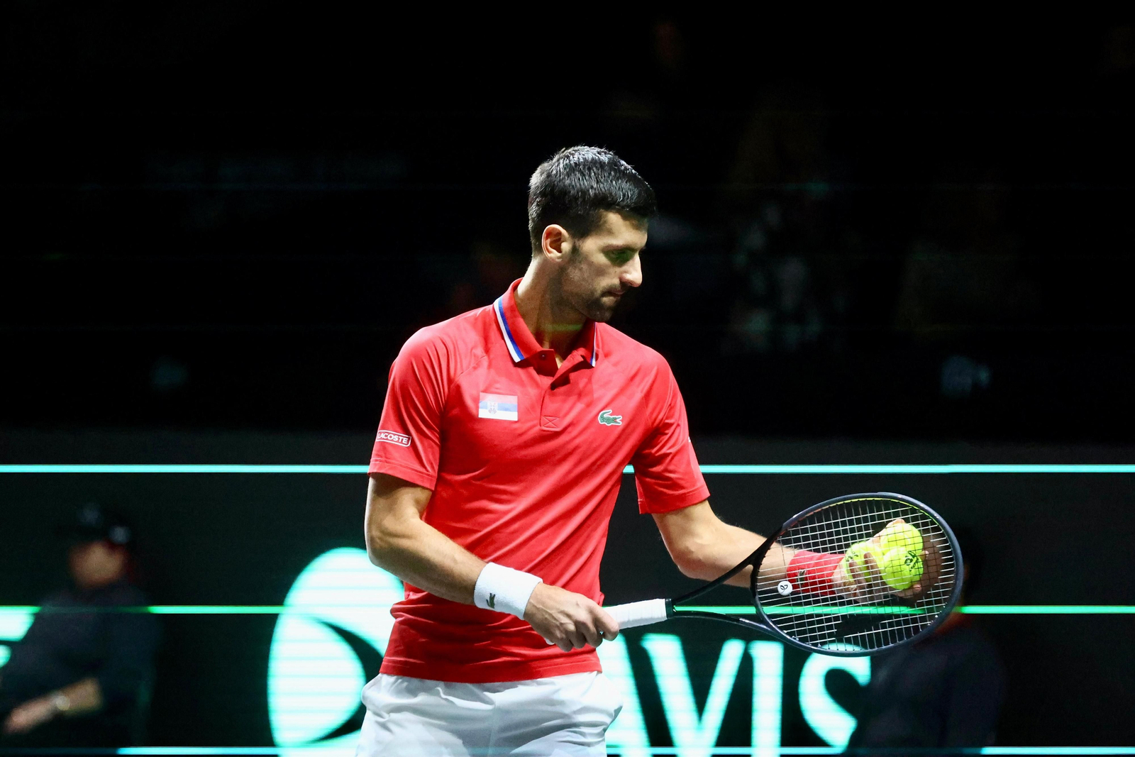 Copa Davis en Málaga: Sinner - Djokovic, en fotos