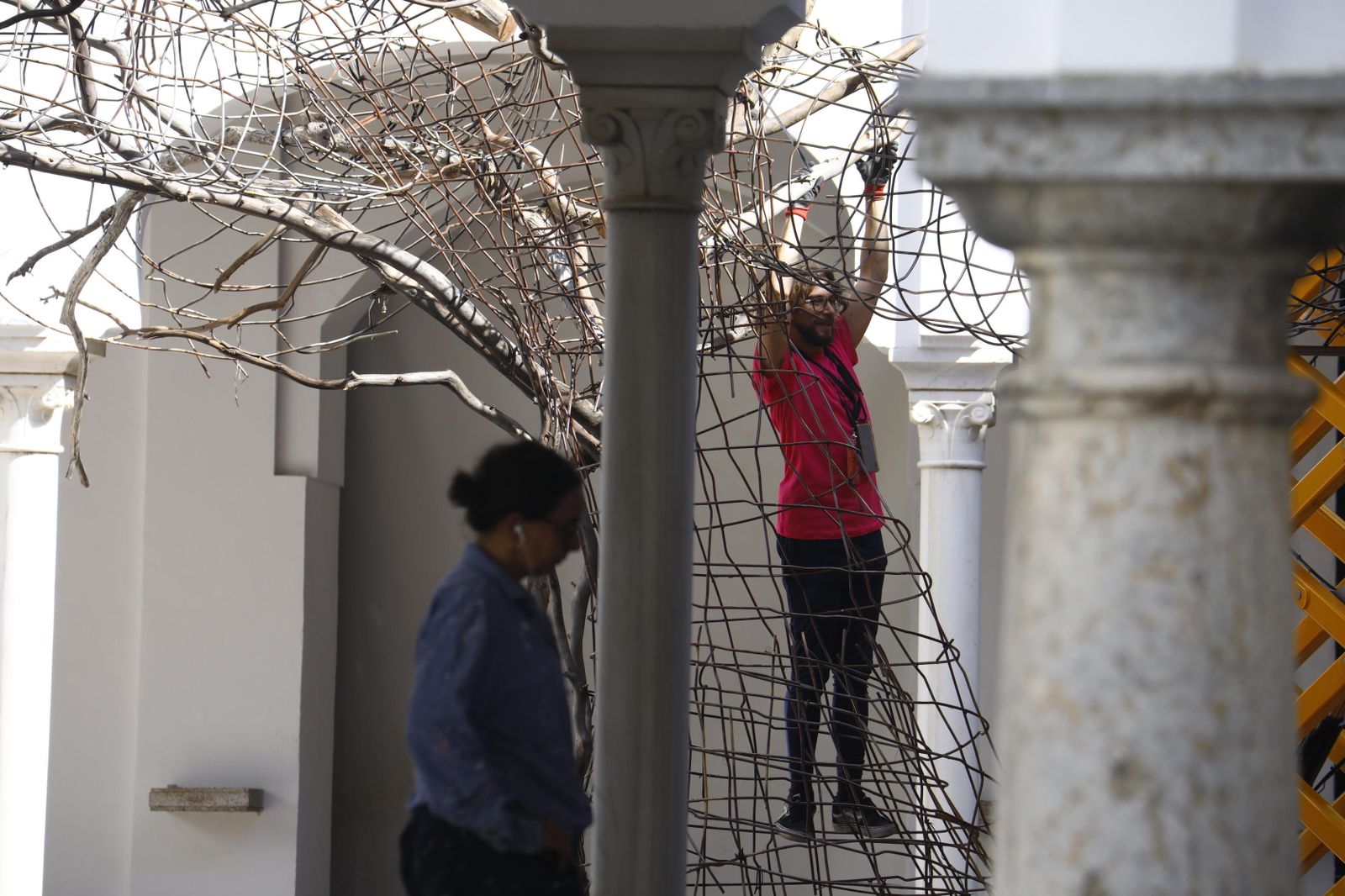 El montaje del Festival Flora, en imágenes