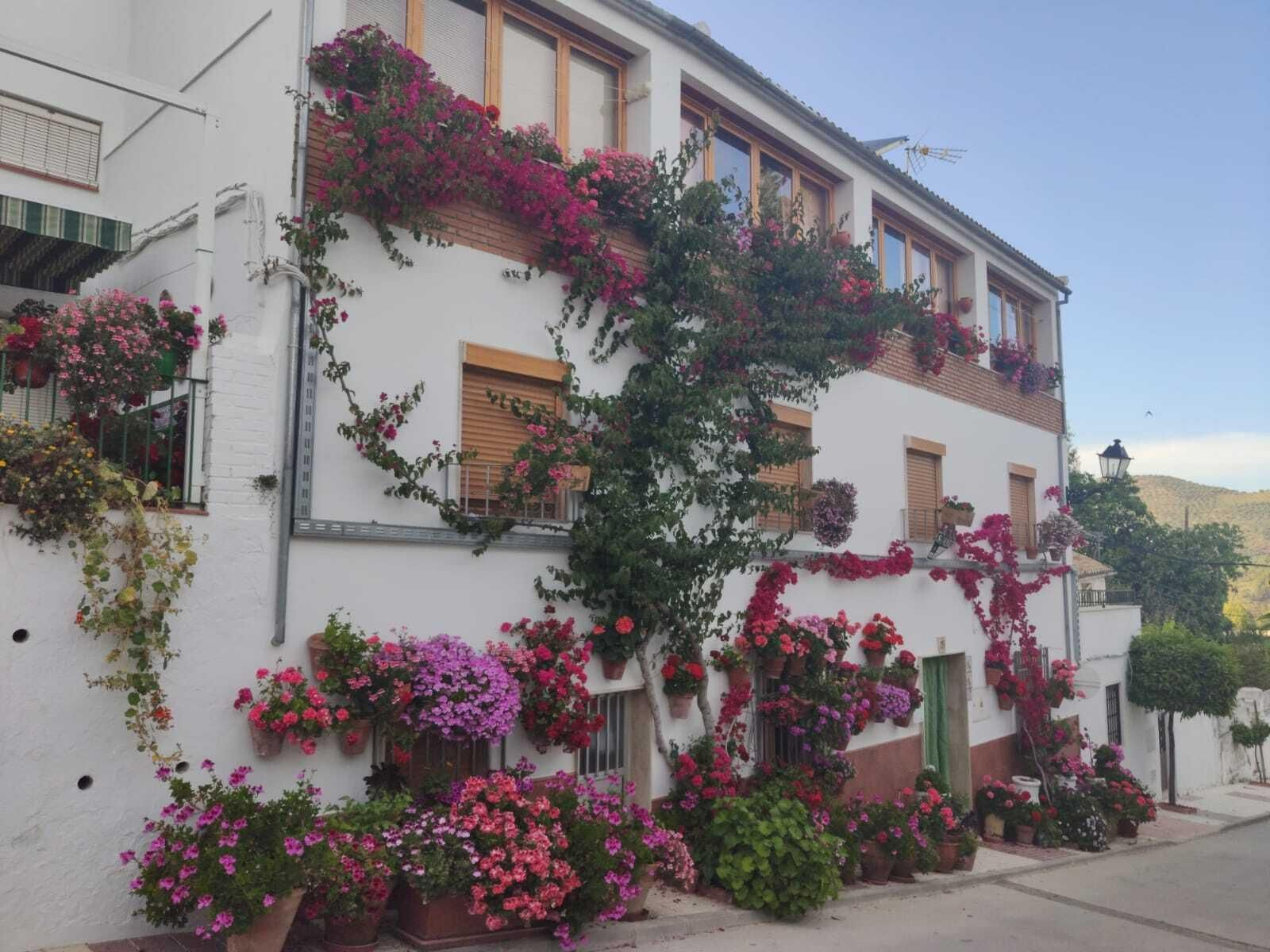 Fotografías de cómo lucen los patios, balcones y rejas de Iznájar.