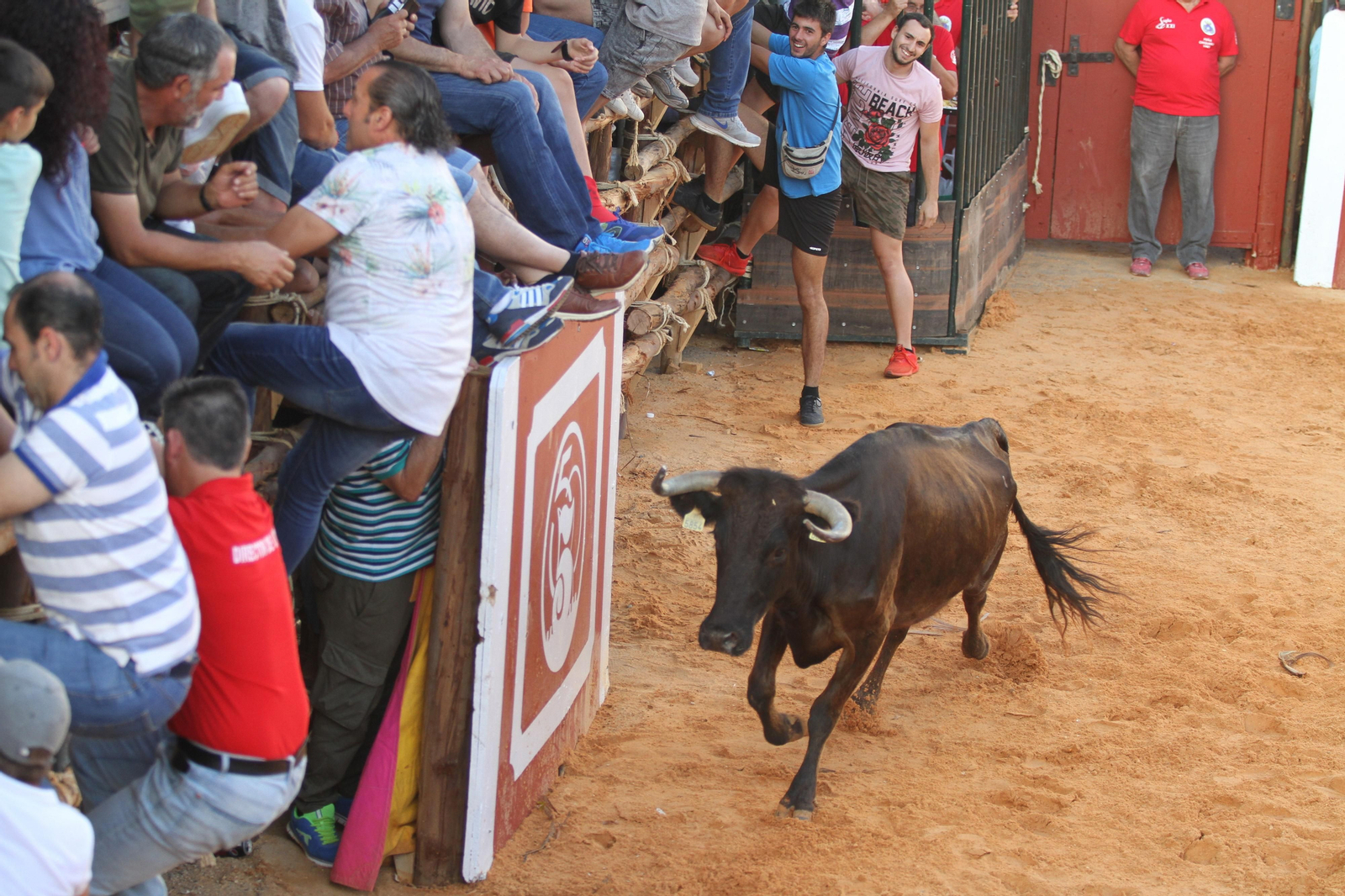 Comienzan las capeas en San Juan del Puerto