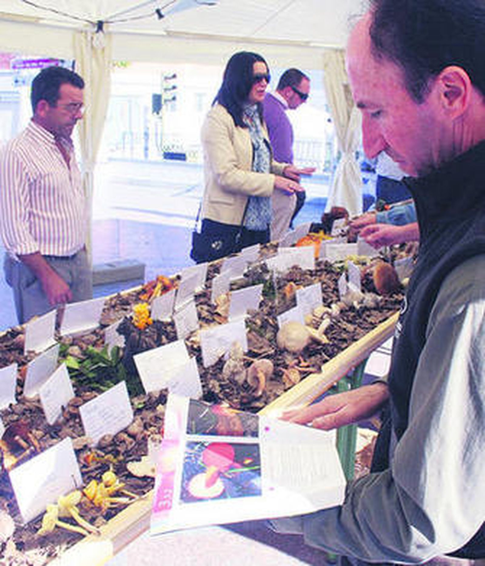 Al fondo, la alcaldesa de Benalup visitando la muestra.
