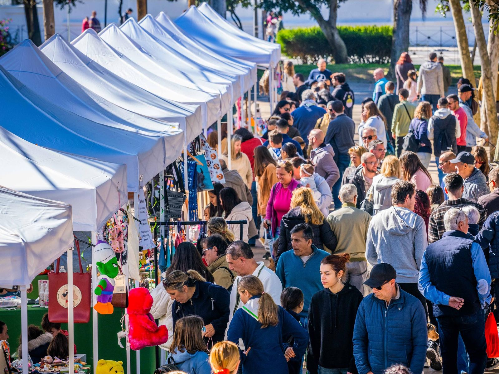 Las imágenes de San Antón 2025 en San Fernando