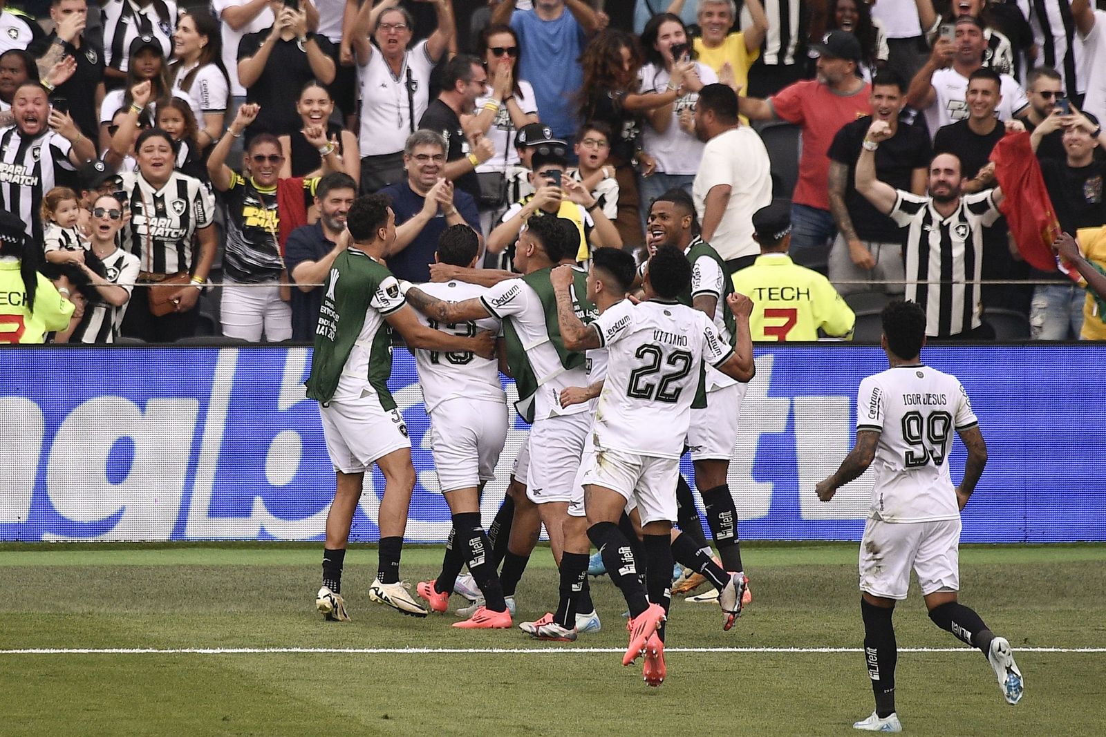 Las fotos de una final de la Libertadores histórica; Botafogo, campeón con 10, ante Atlético Mineiro