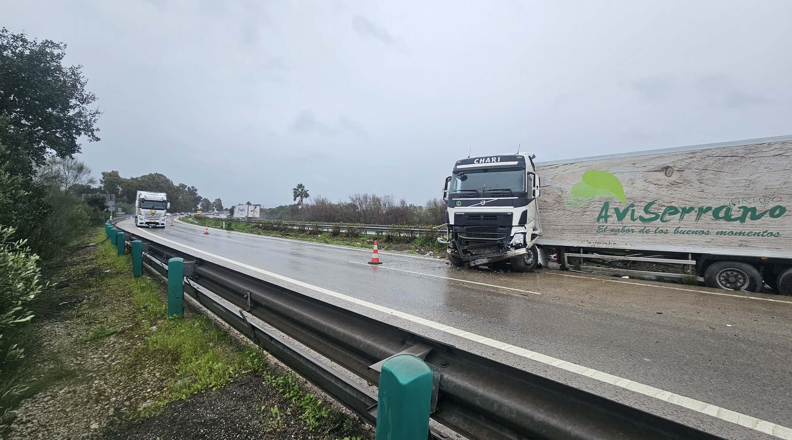Las fotos del camión accidentado en la A-381 a la altura de Los Barrios