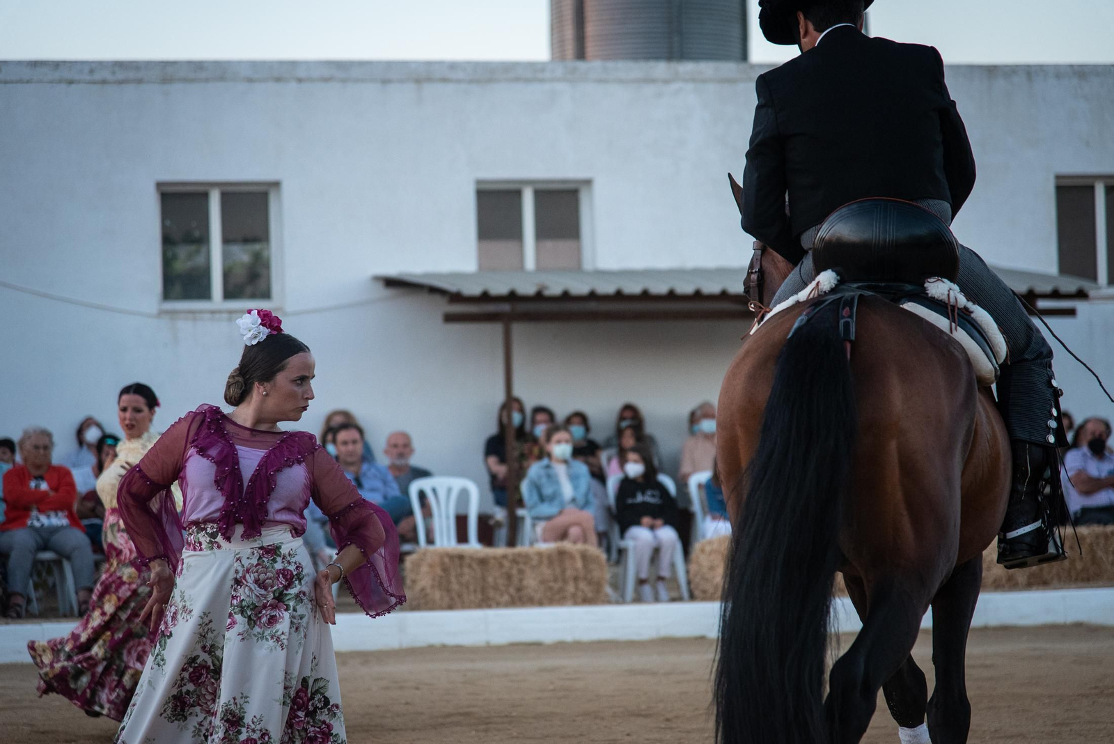 El espectáculo Flamencab en imágenes