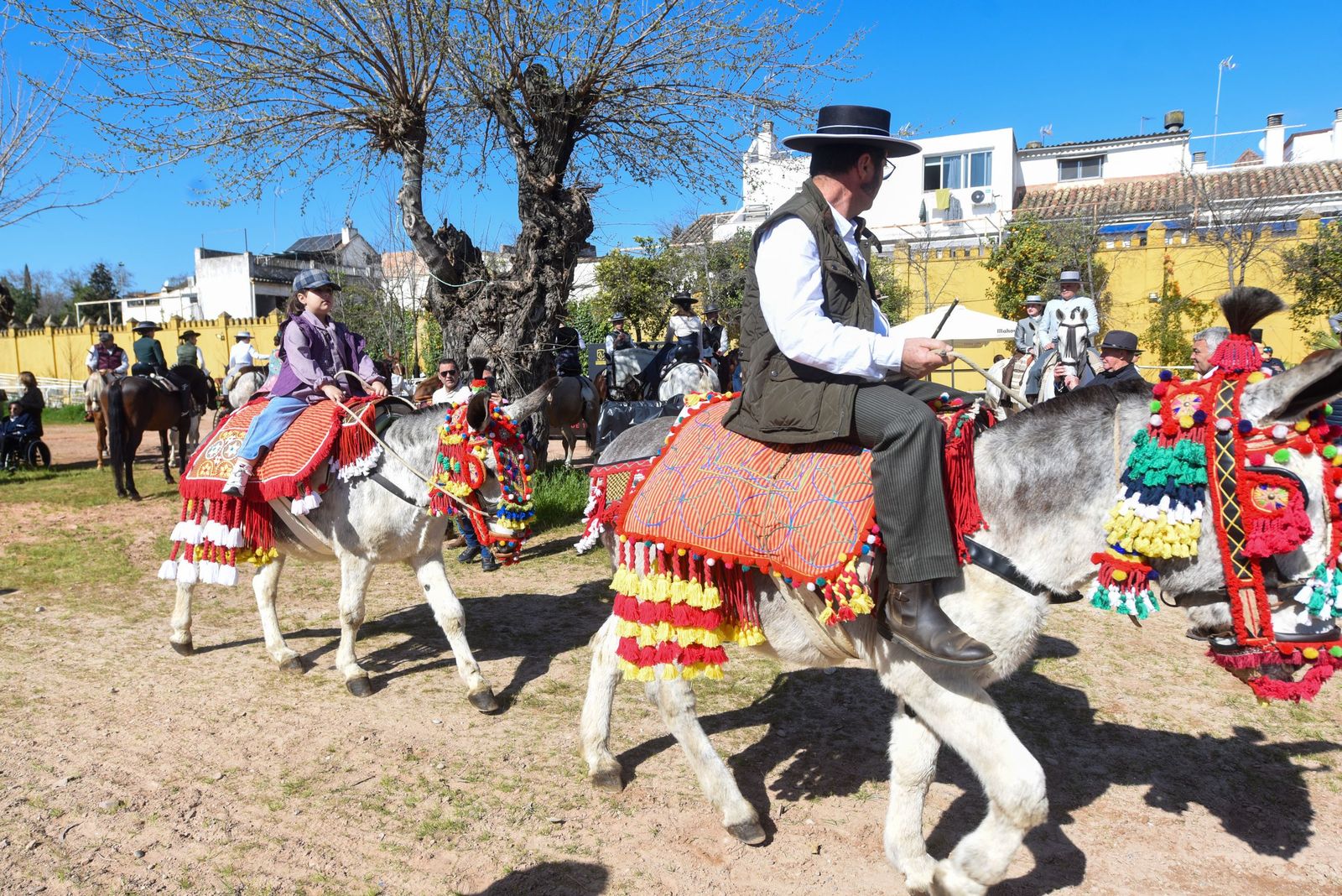 Las mejores imágenes de la Marcha Hípica Córdoba a Caballo del 28F de 2026
