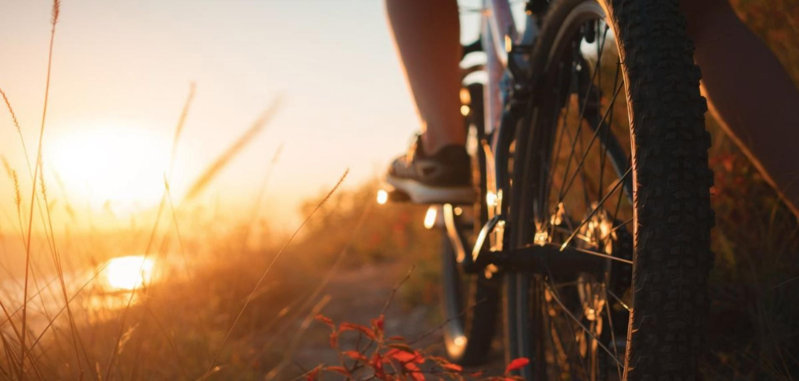 Las mejores rutas en bicicleta por Andalucía