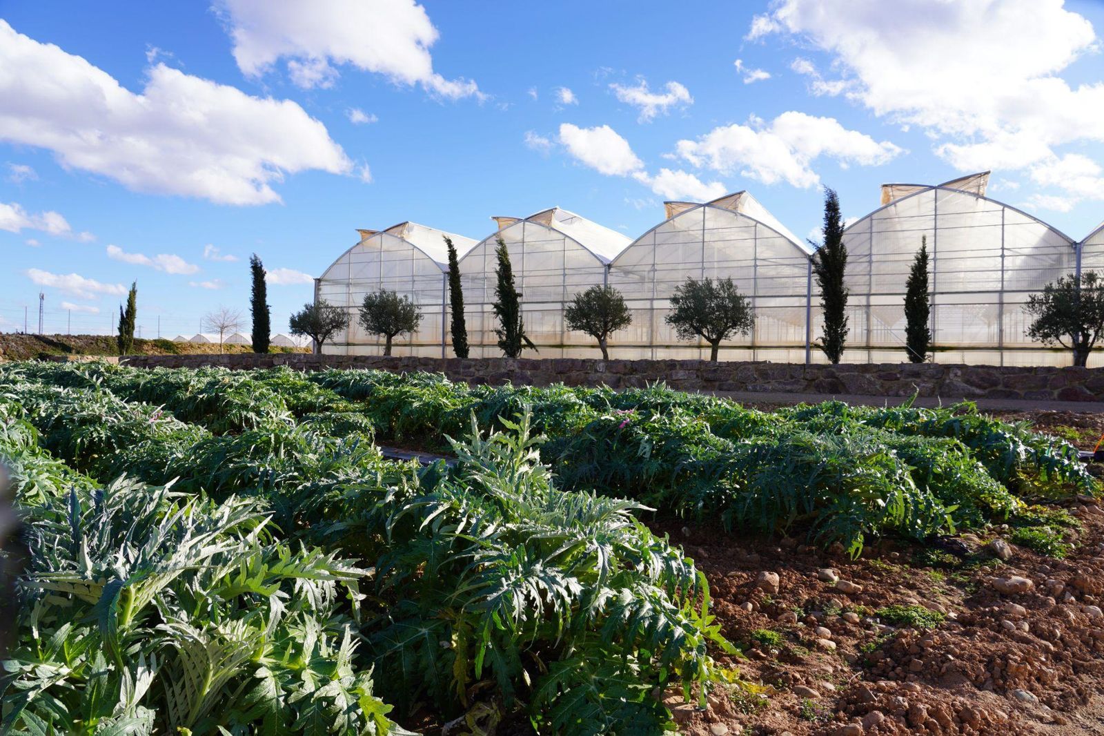 Ramiro Arnedo impulsa su crecimiento internacional.