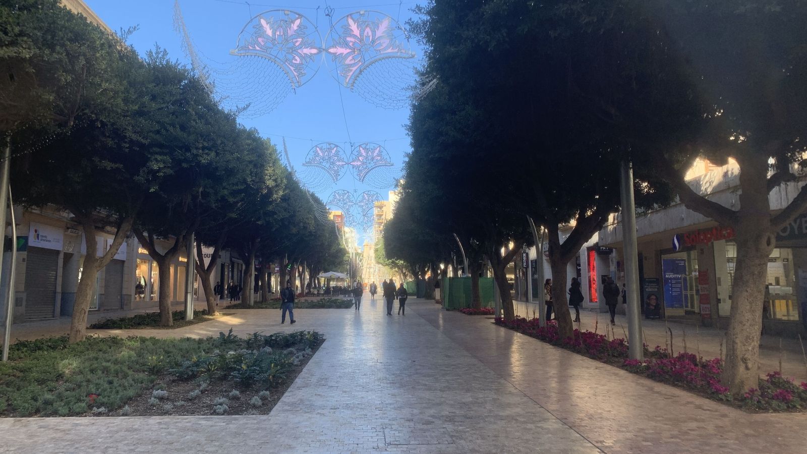 Ajardinamiento del Paseo de Almería.