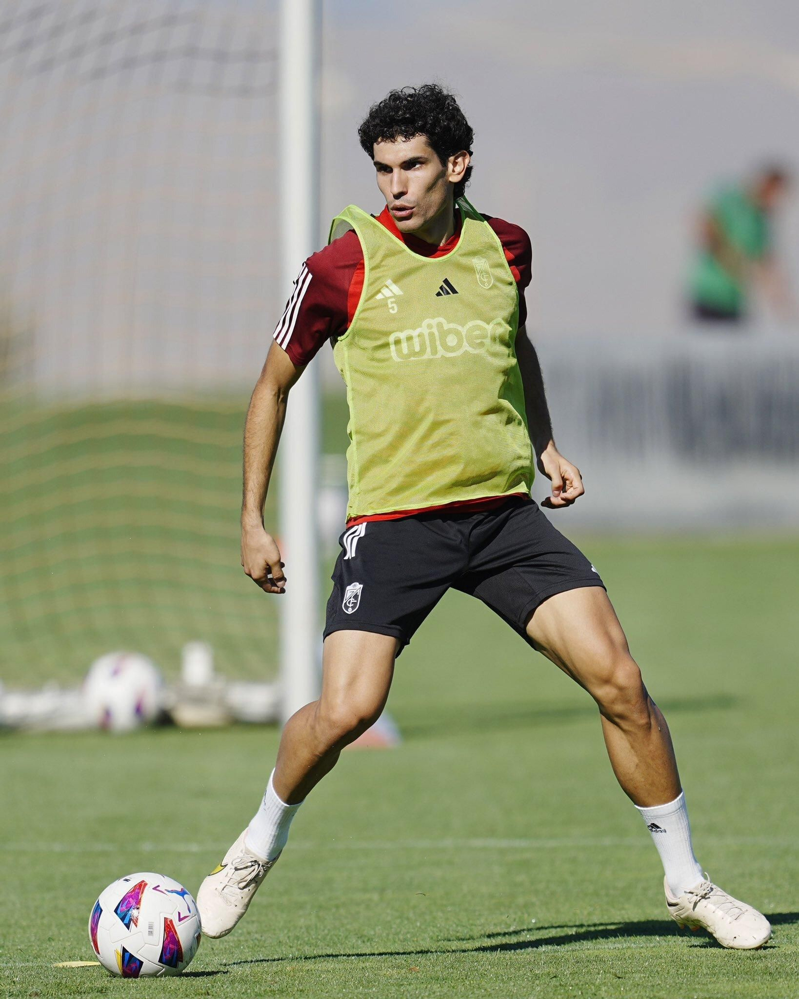 Vallejo, en su vuelta al trabajo con el Granada