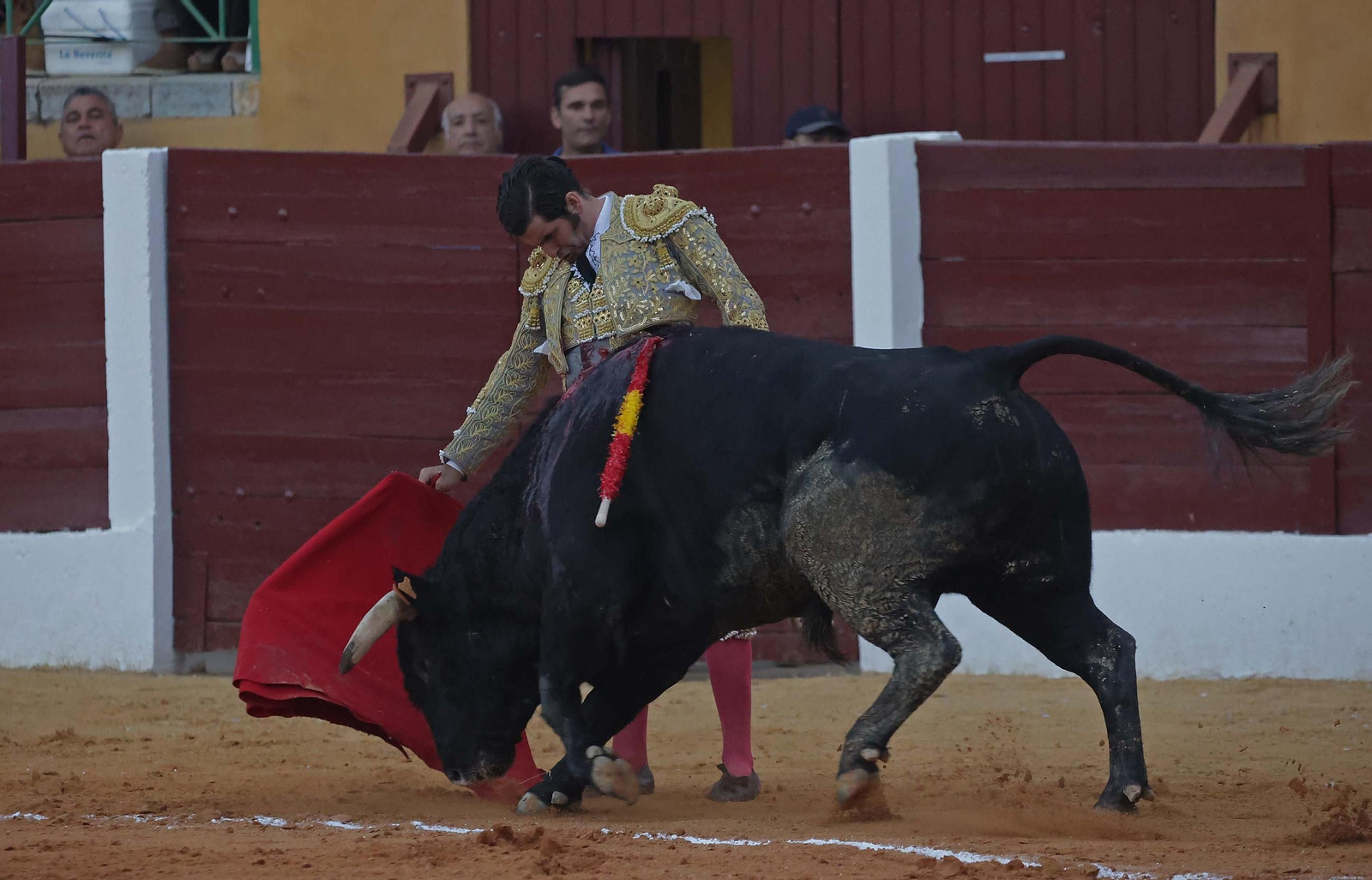 Fotos de la corrida del viernes de la Feria de La Línea: Morante de la Puebla, Talavante y David de Miranda Fotos de la corrida del viernes de la Feria de La Línea: Morante de la Puebla, Talavante y David de Miranda