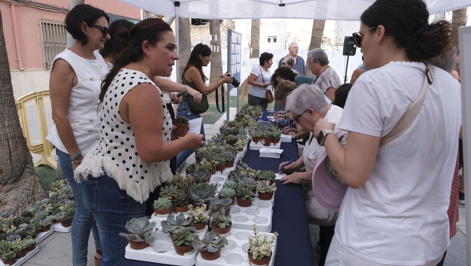 El Día de las Personas de Edad en Adra, organizado por el Ayuntamiento y Clece, en imágenes