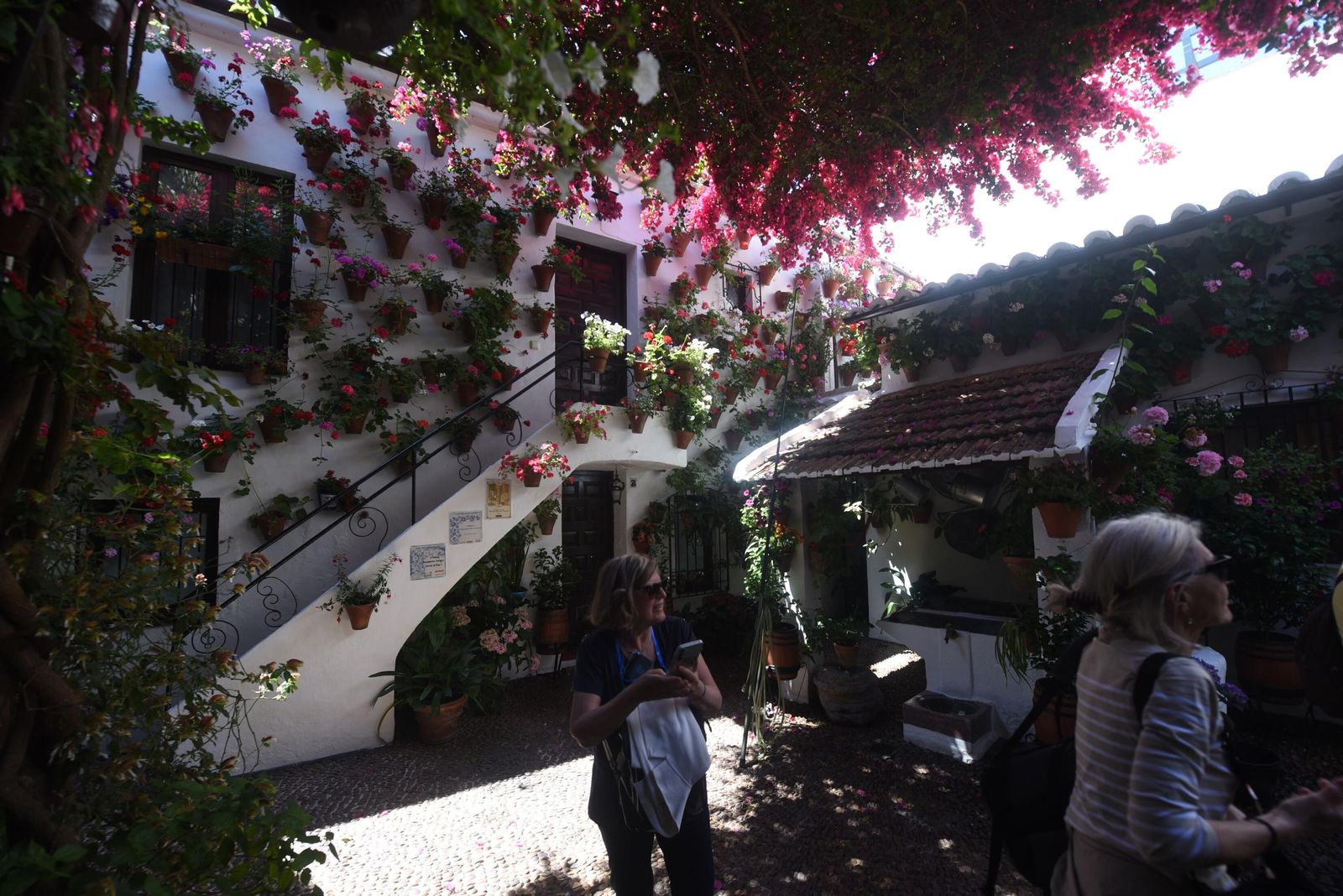 El último sábado de Patios de Córdoba en Alcázar Viejo, en imágenes