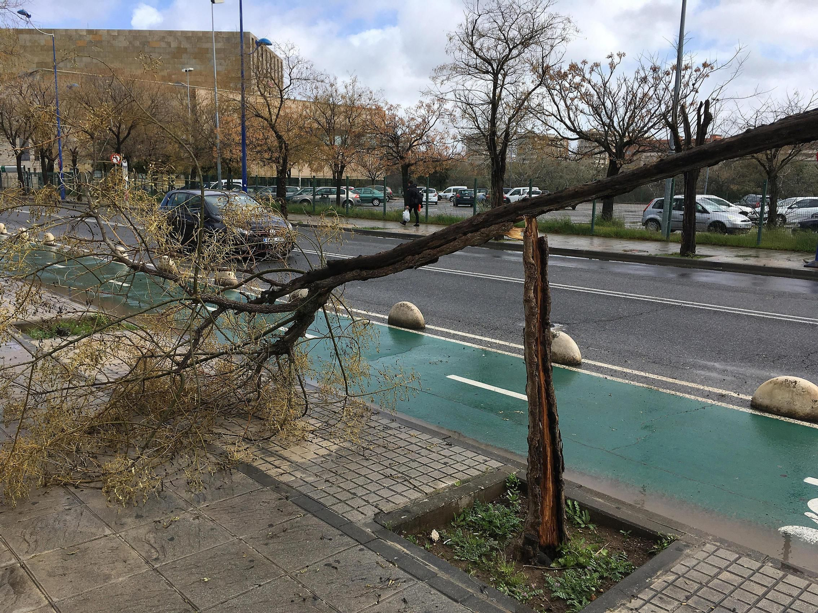 Las imágenes del temporal en Sevilla