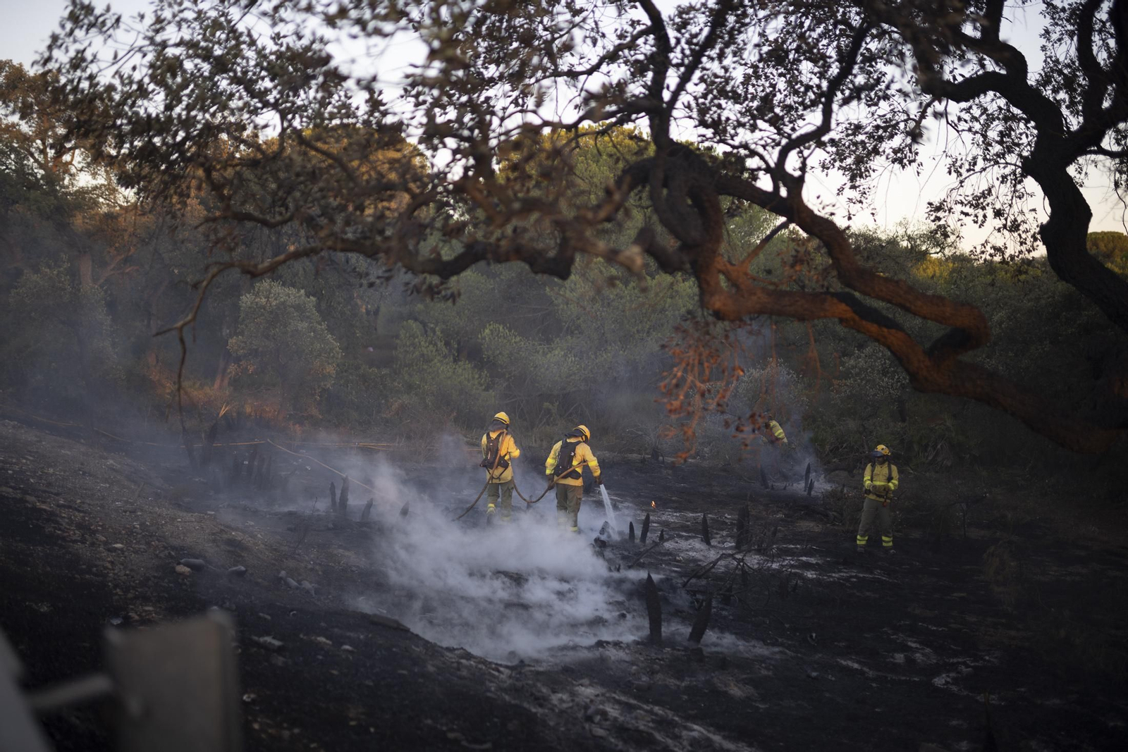 Imágenes del incendio de Bonares