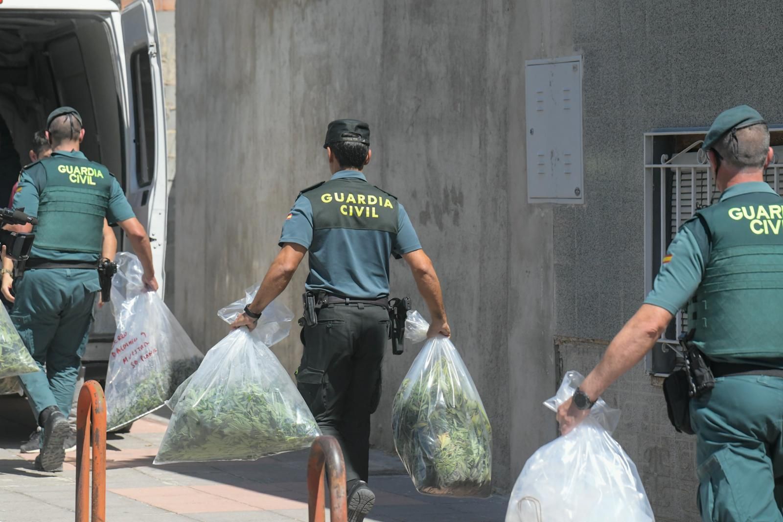 Fotos: así ha sido la operación contra el tráfico de marihuana en Pinos Puente