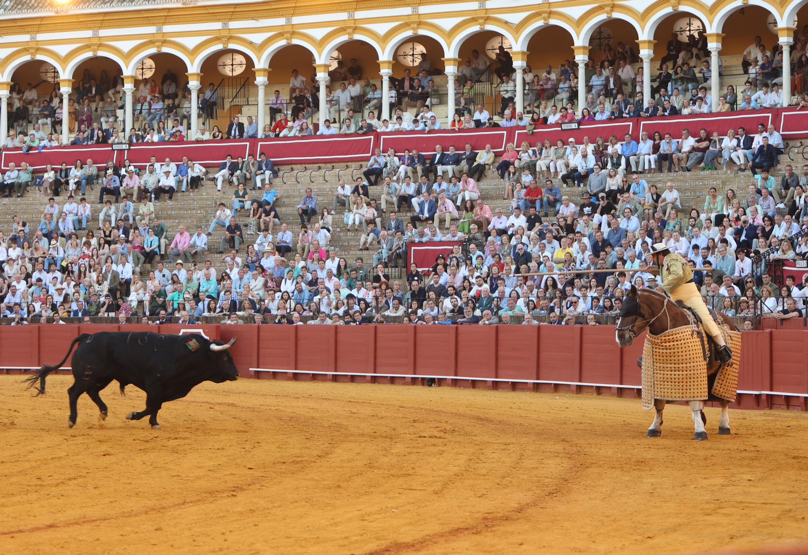 Las mejores imágenes de la corrida de hoy