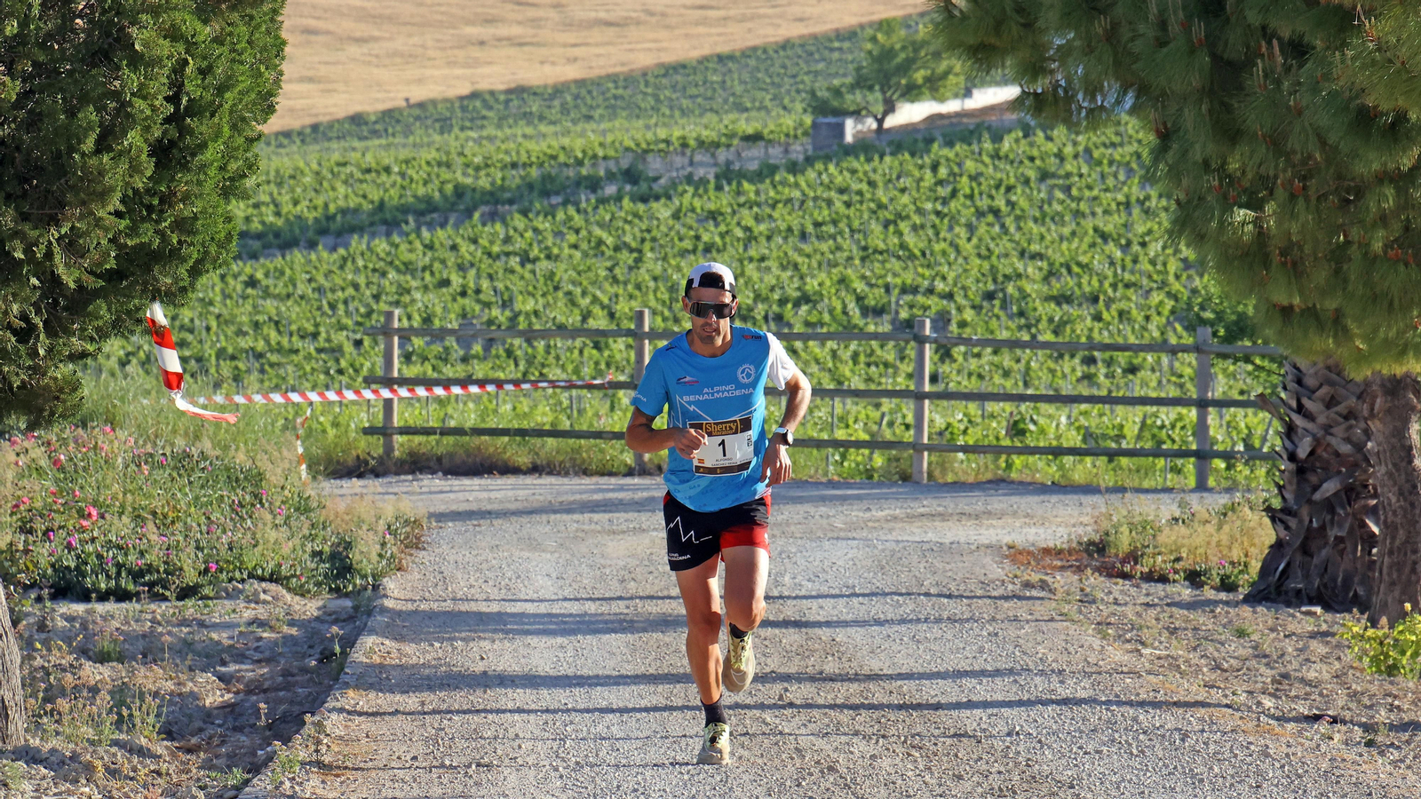 VI Sherry Maratón Jerez
