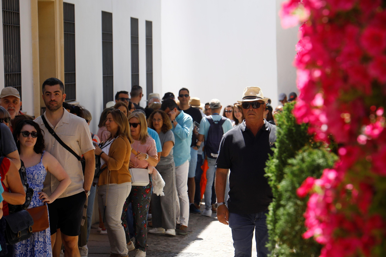 La ruta de Patios Santa Marina-San Agustín, en imágenes