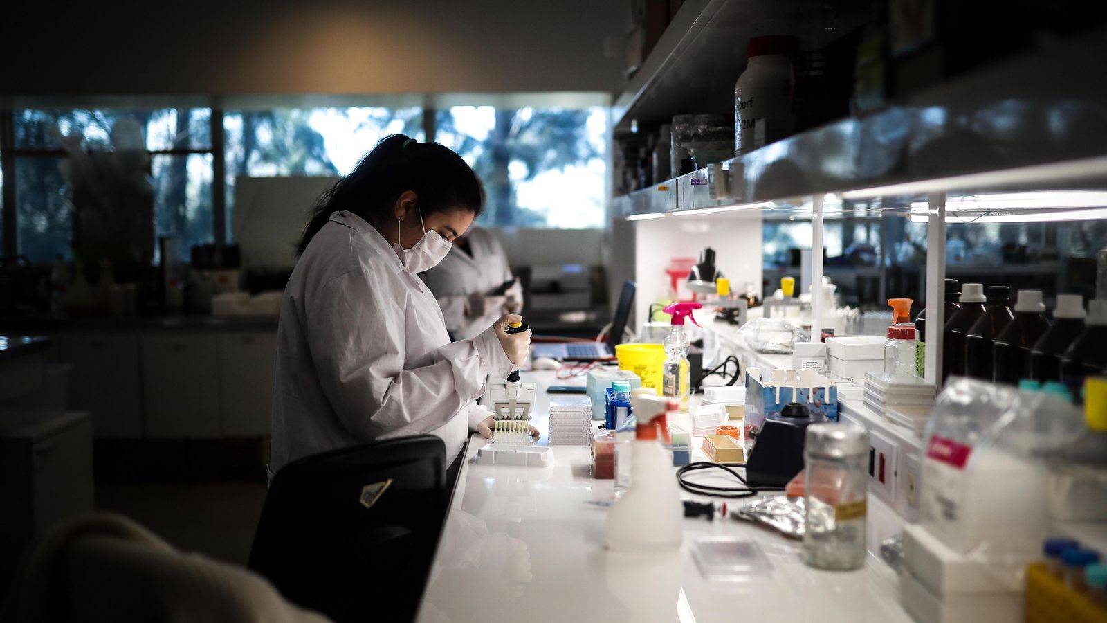 Investigaciones sobre la transmisión de la Covid-19.