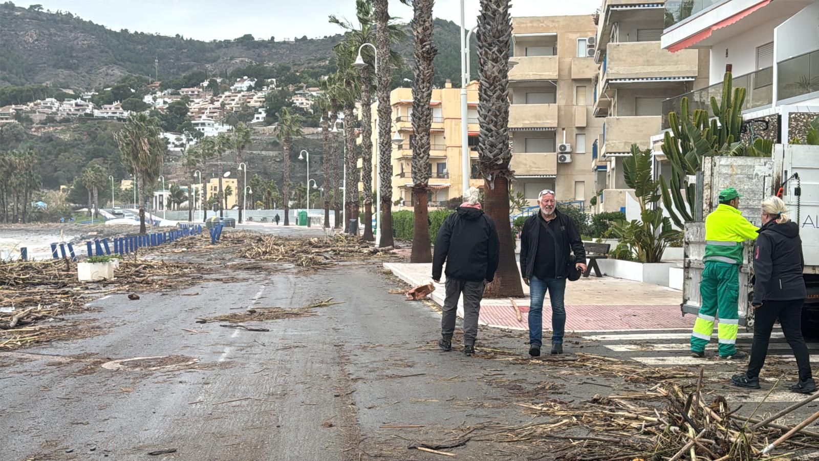 Las cañaveras, arena y piedras se hacen con parte del paseo marítimo de La Herradura