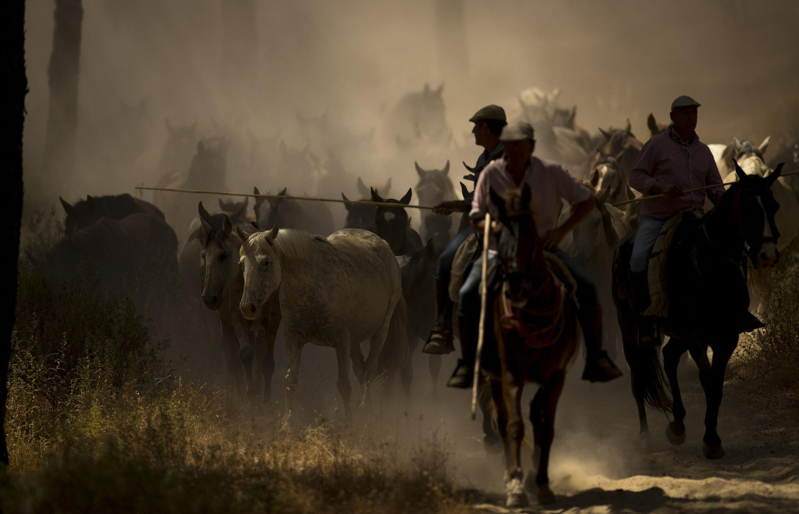 La Saca de las Yeguas, en imágenes