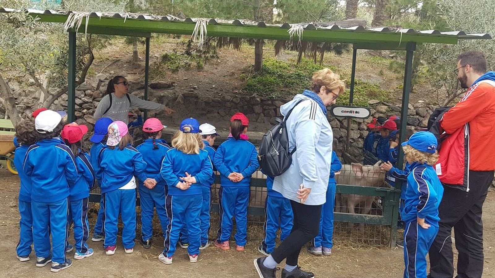 Un grupo de escolares visita las instalaciones de los animales.
