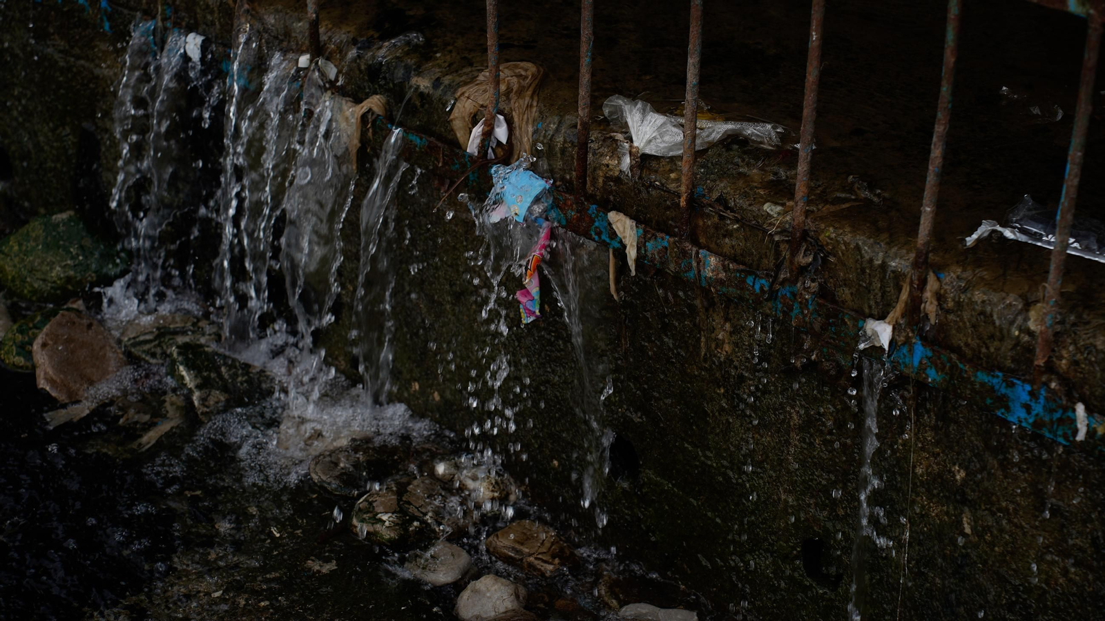 Fotos de la playa de Getares llena de cañas y desechos