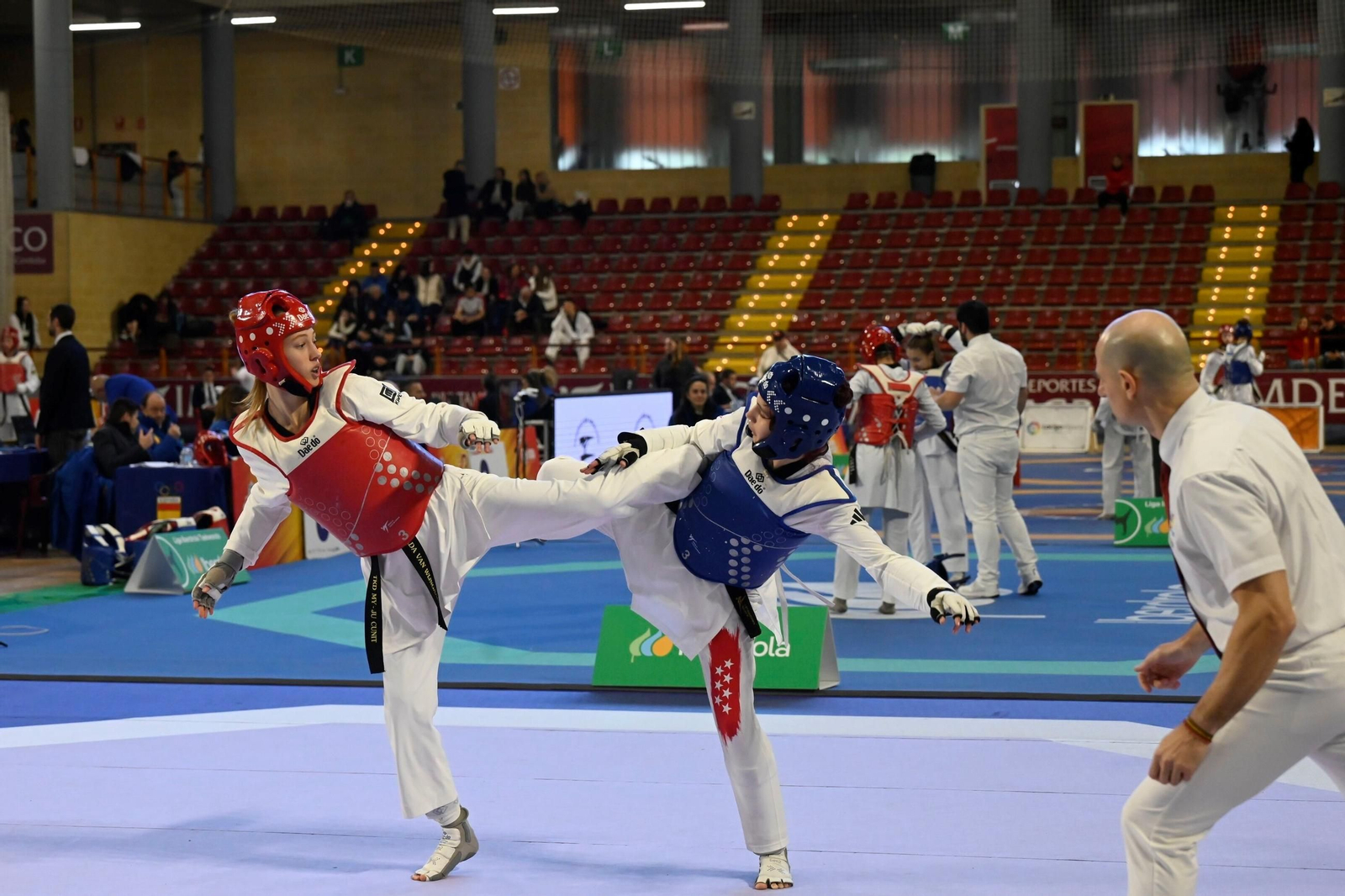 Las mejores fotos del Campeonato de España de taekwondo celebrado en Córdoba