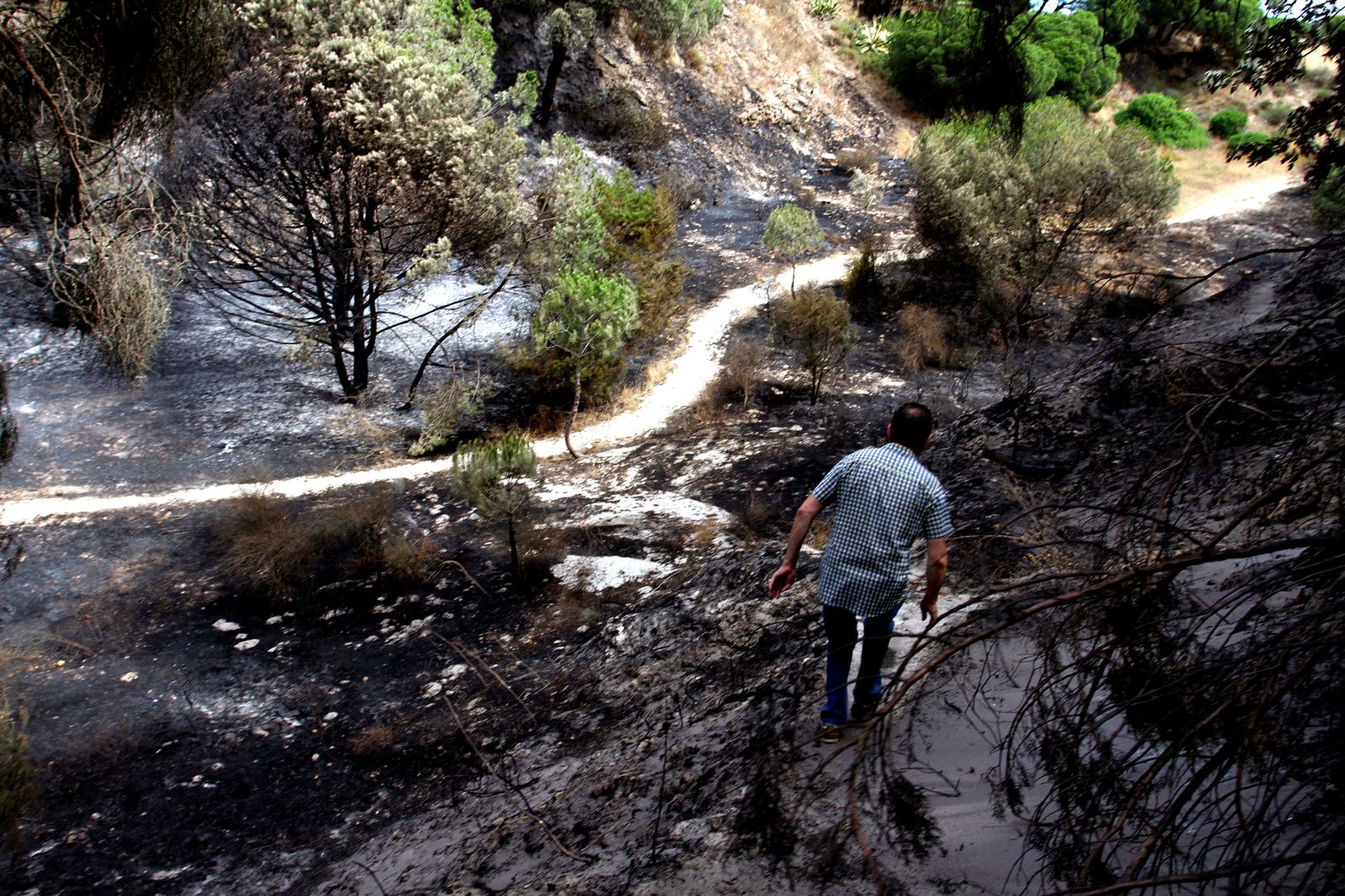 Imágenes de las consecuencias del incendio de Moguer