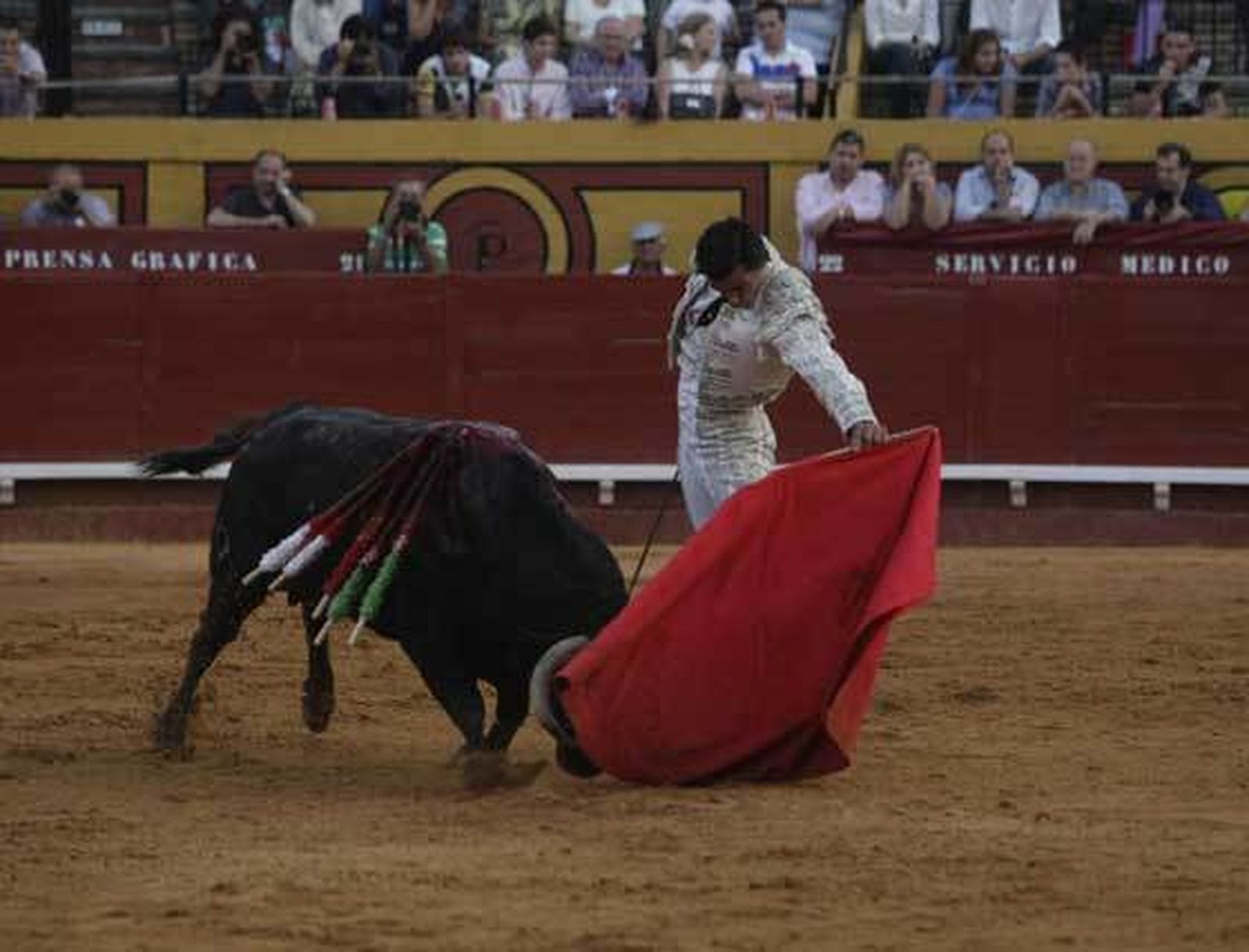 El buen toreo de Galván destaca en una interesante novillada de Miguelín