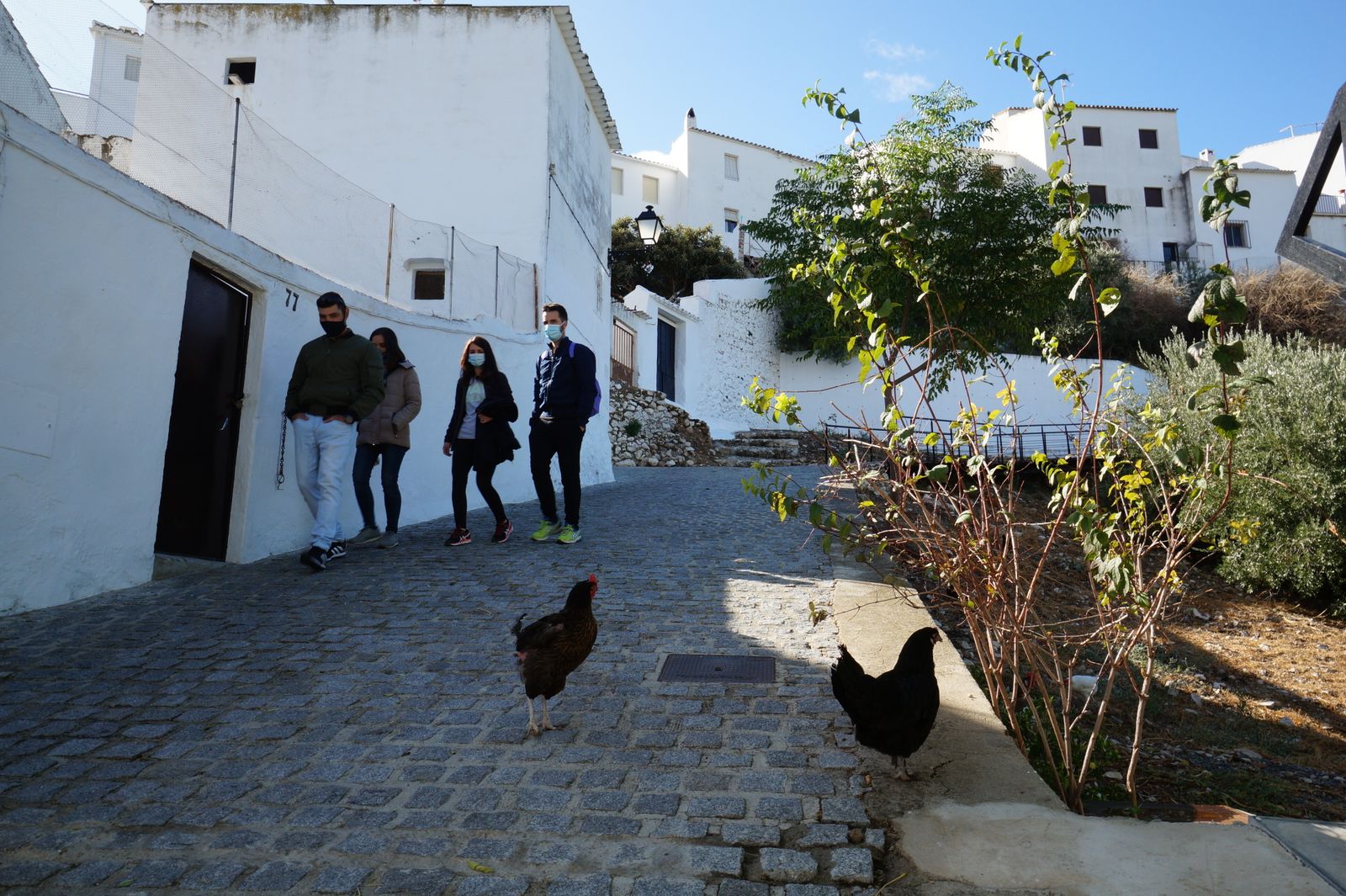 Las fotografías de un paseo por Zuheros, el municipio de Córdoba que resiste libre de covid