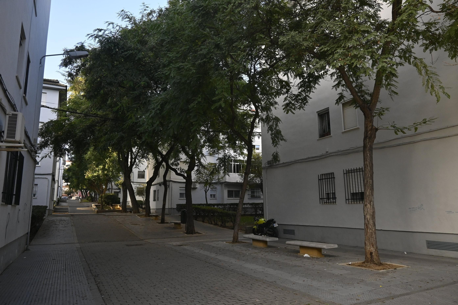 Barrio a barrio: Imágenes de Los Rosales