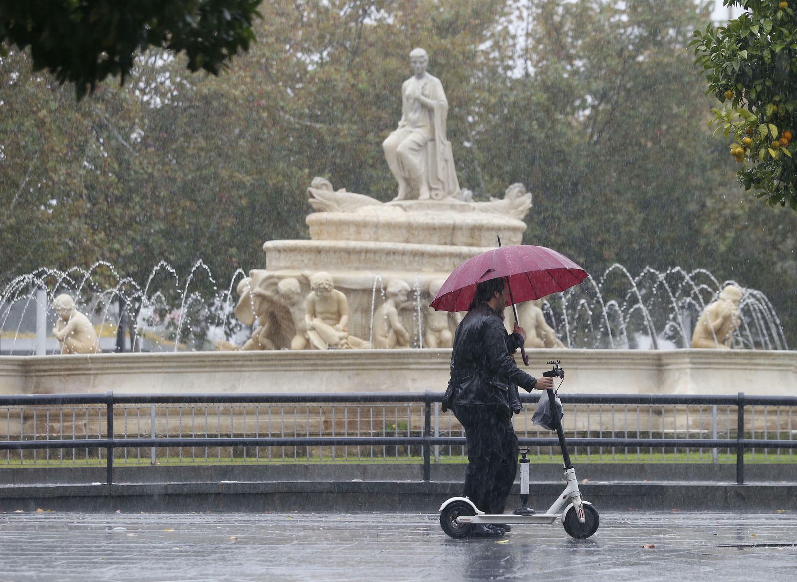 Las imágenes del temporal en Sevilla
