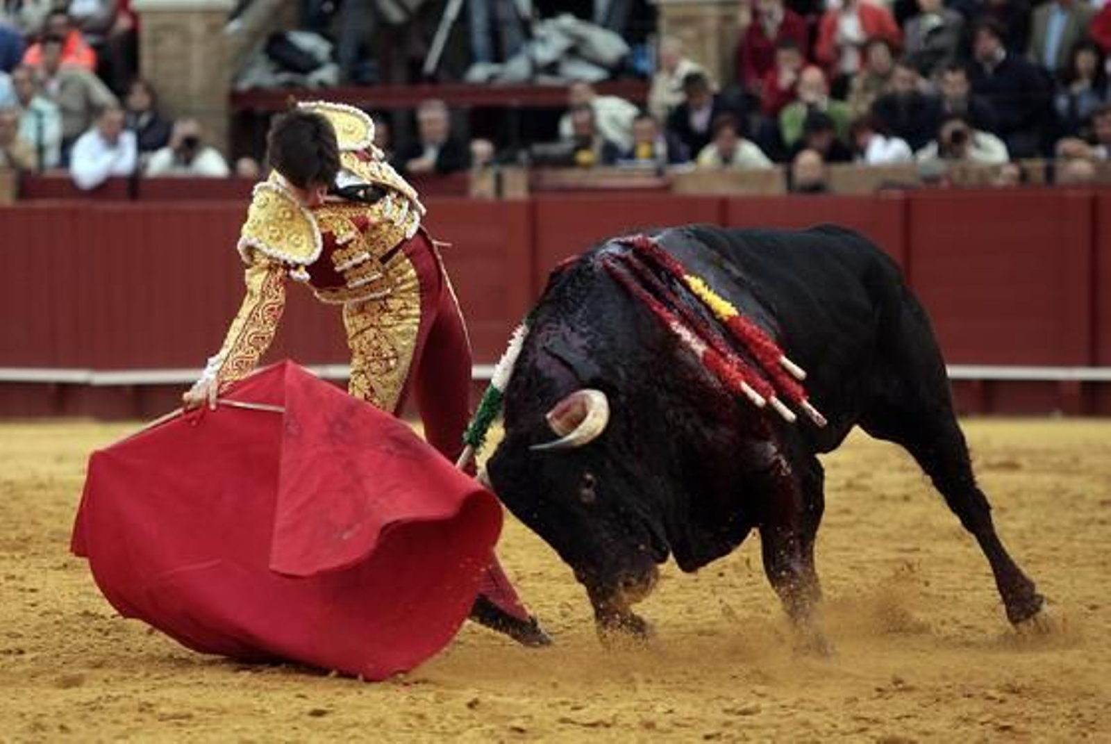 Esaú Fernández cerró la tarde con el sexto toro, de cuya faena obtuvo una oreja.

Foto: Juan Carlos Muñoz