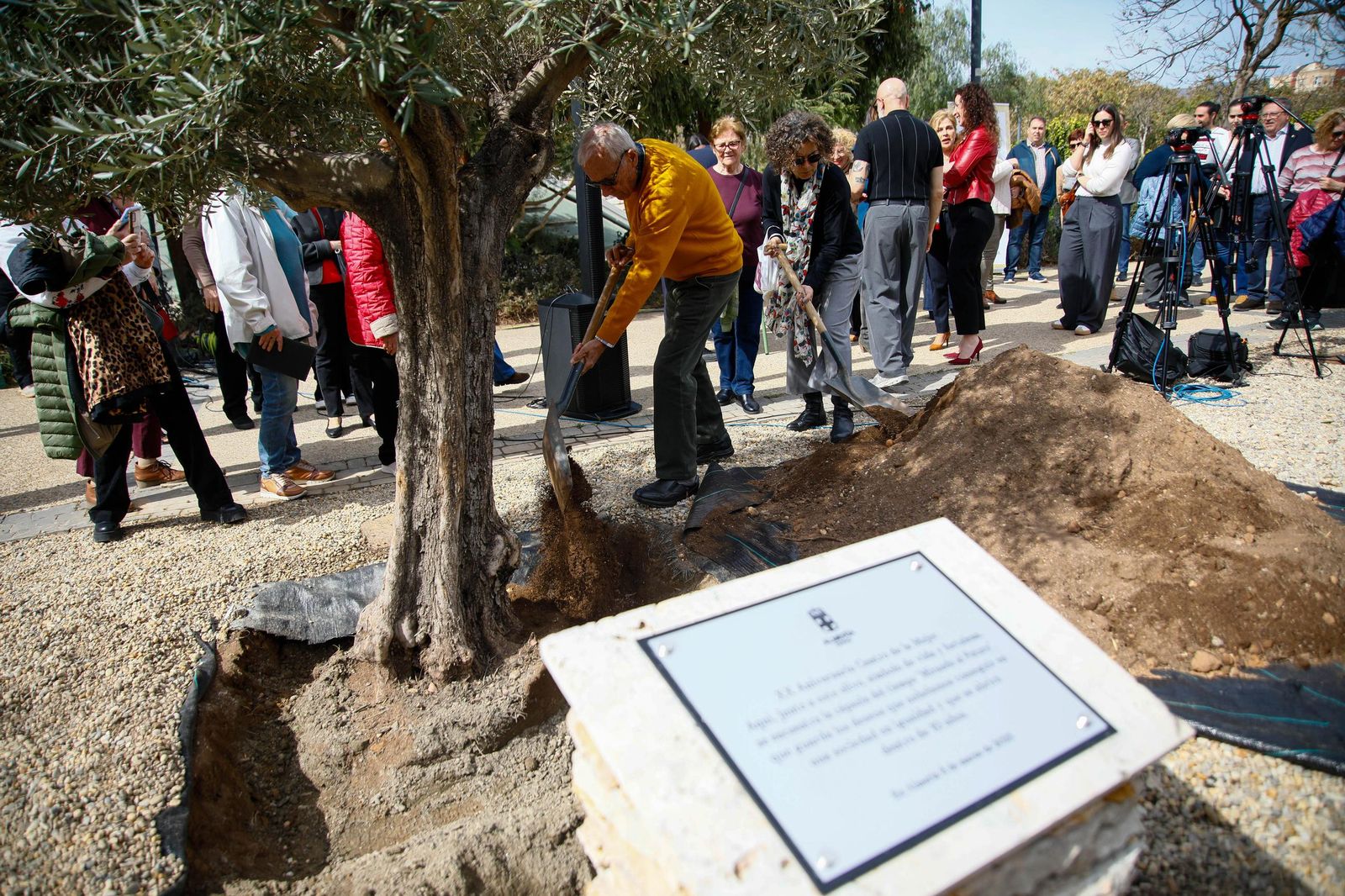 Las imágenes de la plantación de un olivo y el entierro de una cápsula del tiempo